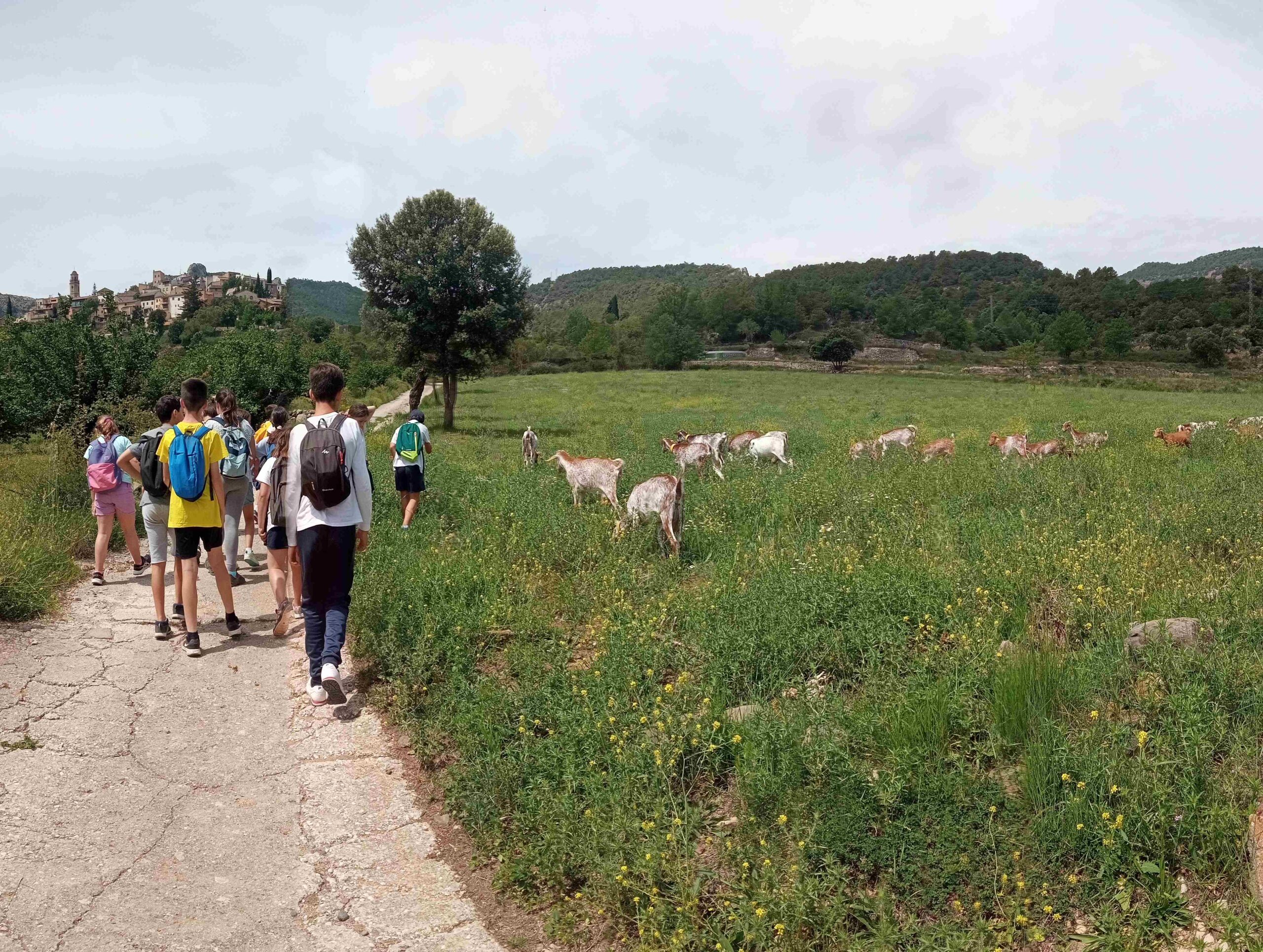 capafonts pastor (12)