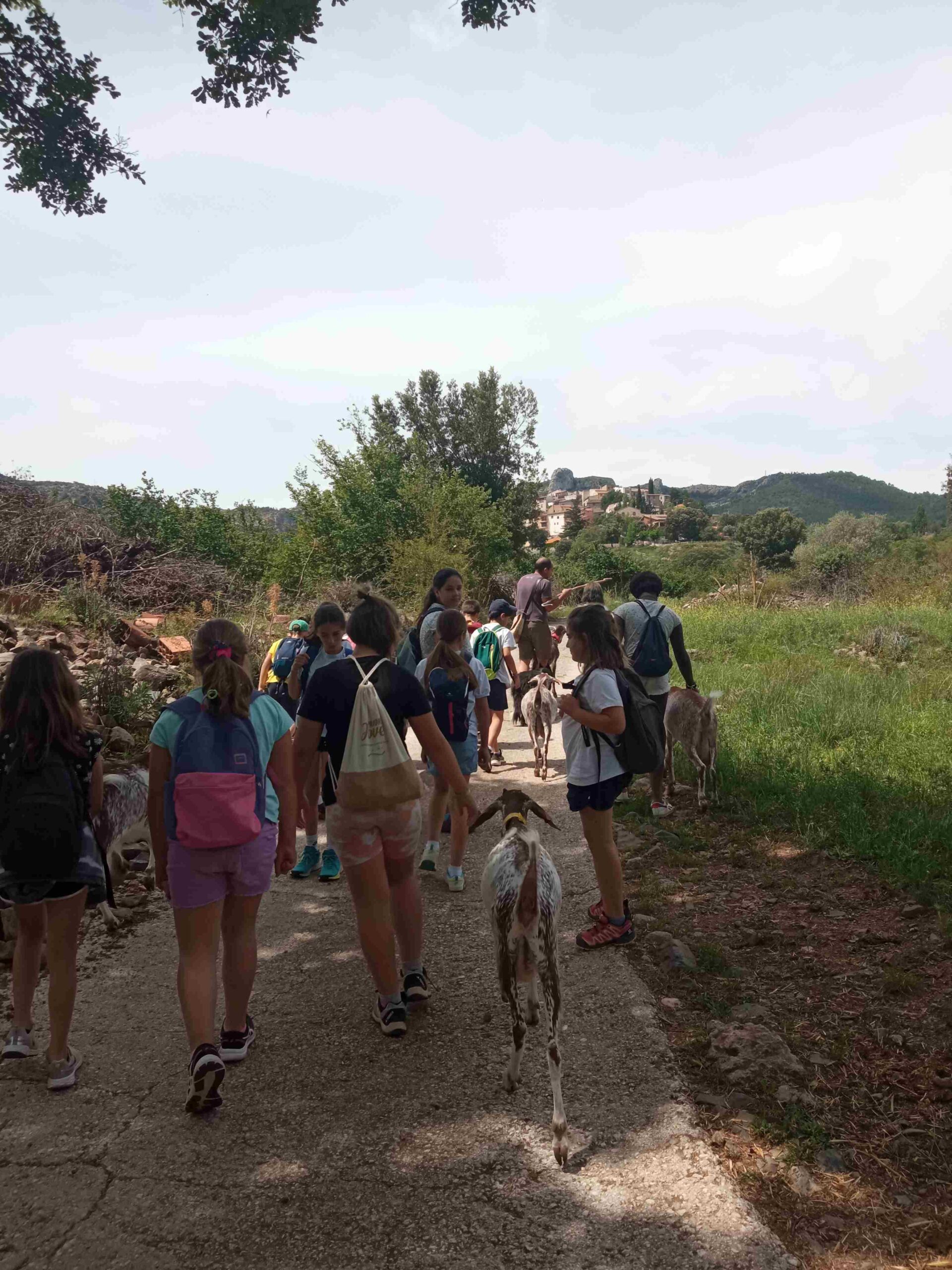 capafonts pastor (13)