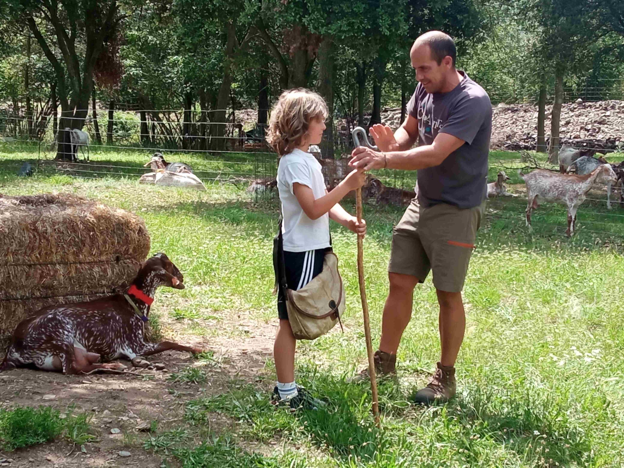 capafonts pastor (14)