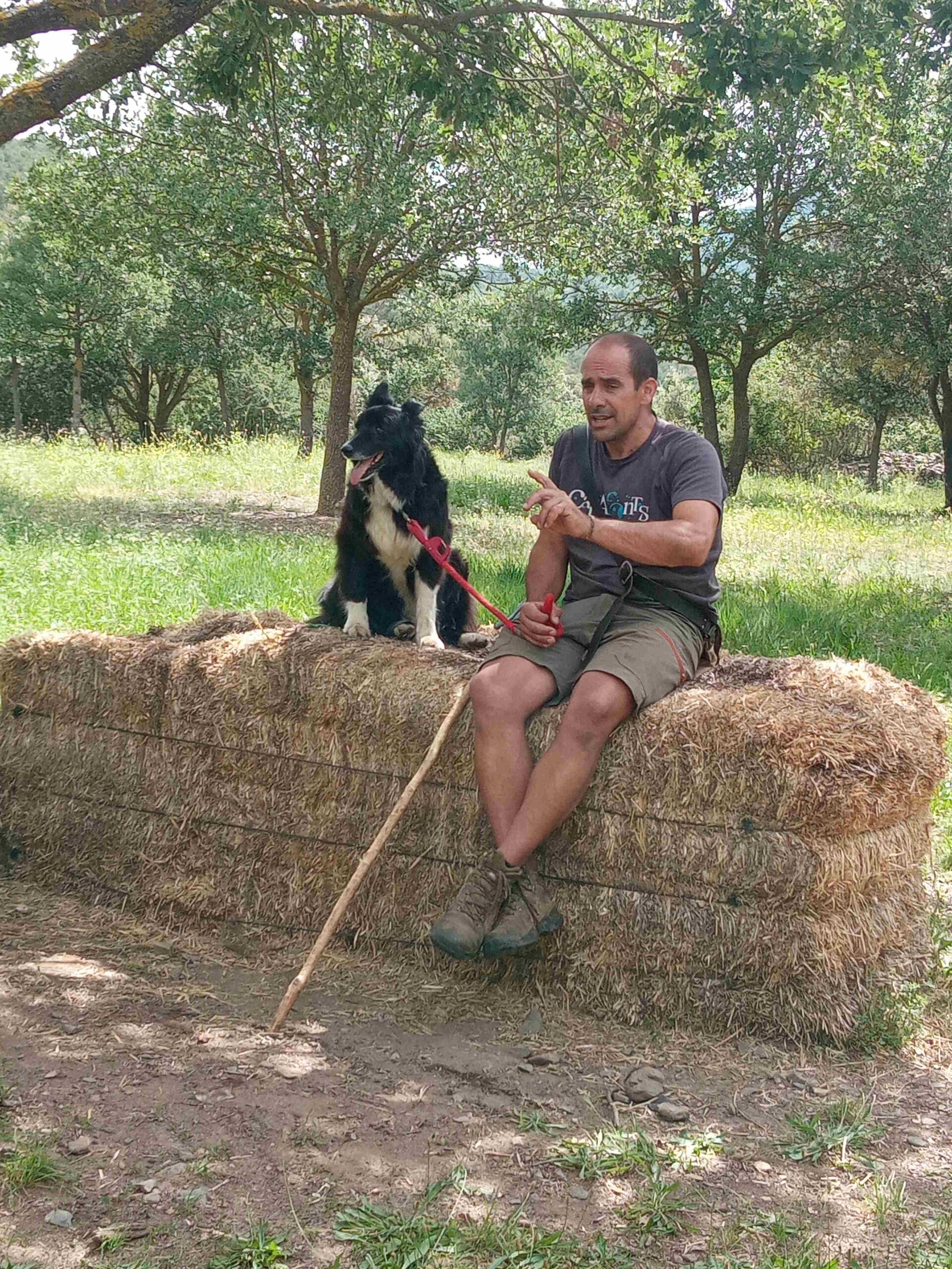 capafonts pastor (15)