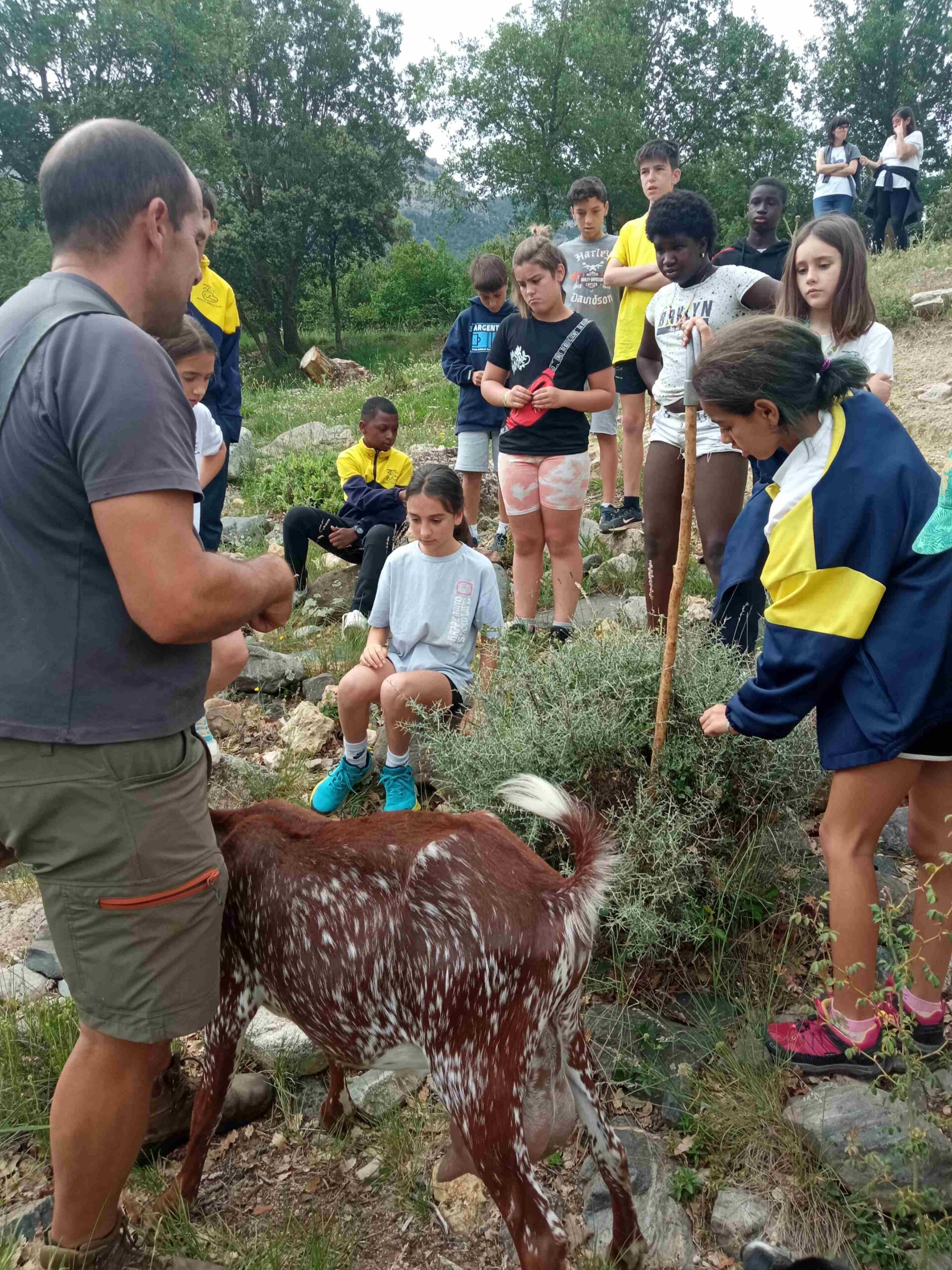 capafonts pastor (17)