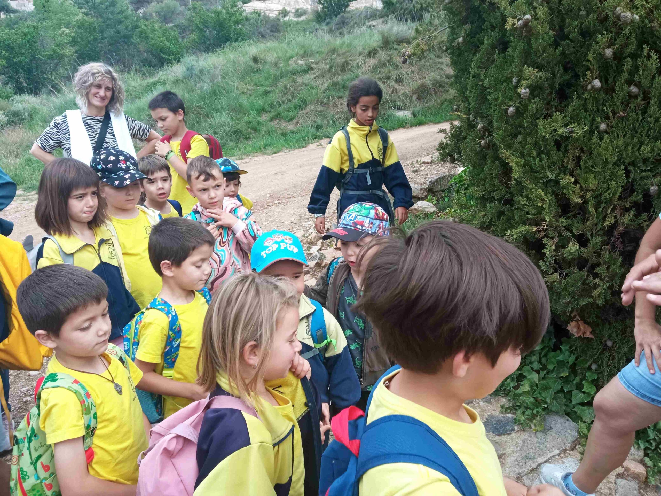 capafonts pastor (2)