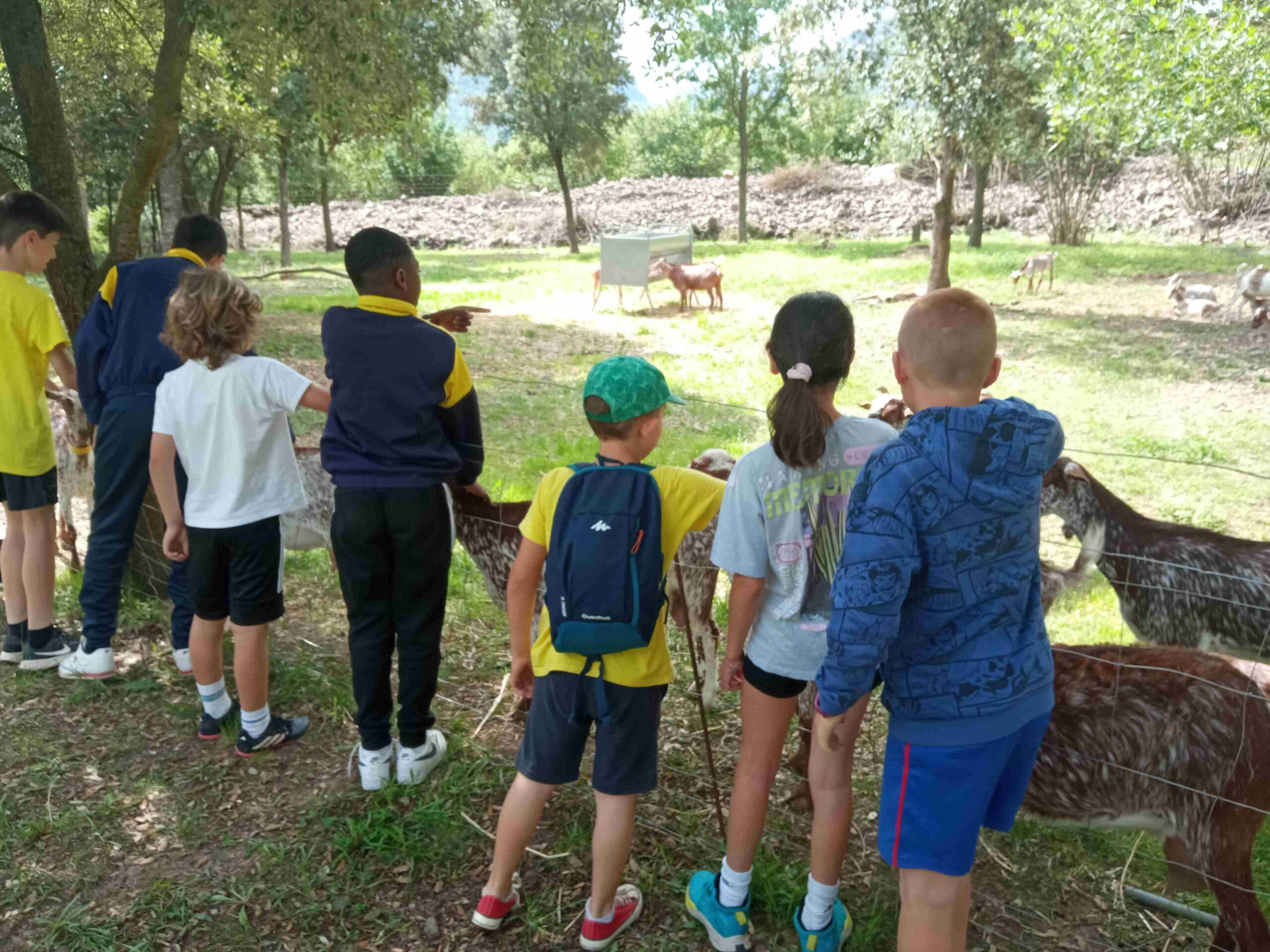 capafonts pastor (21)