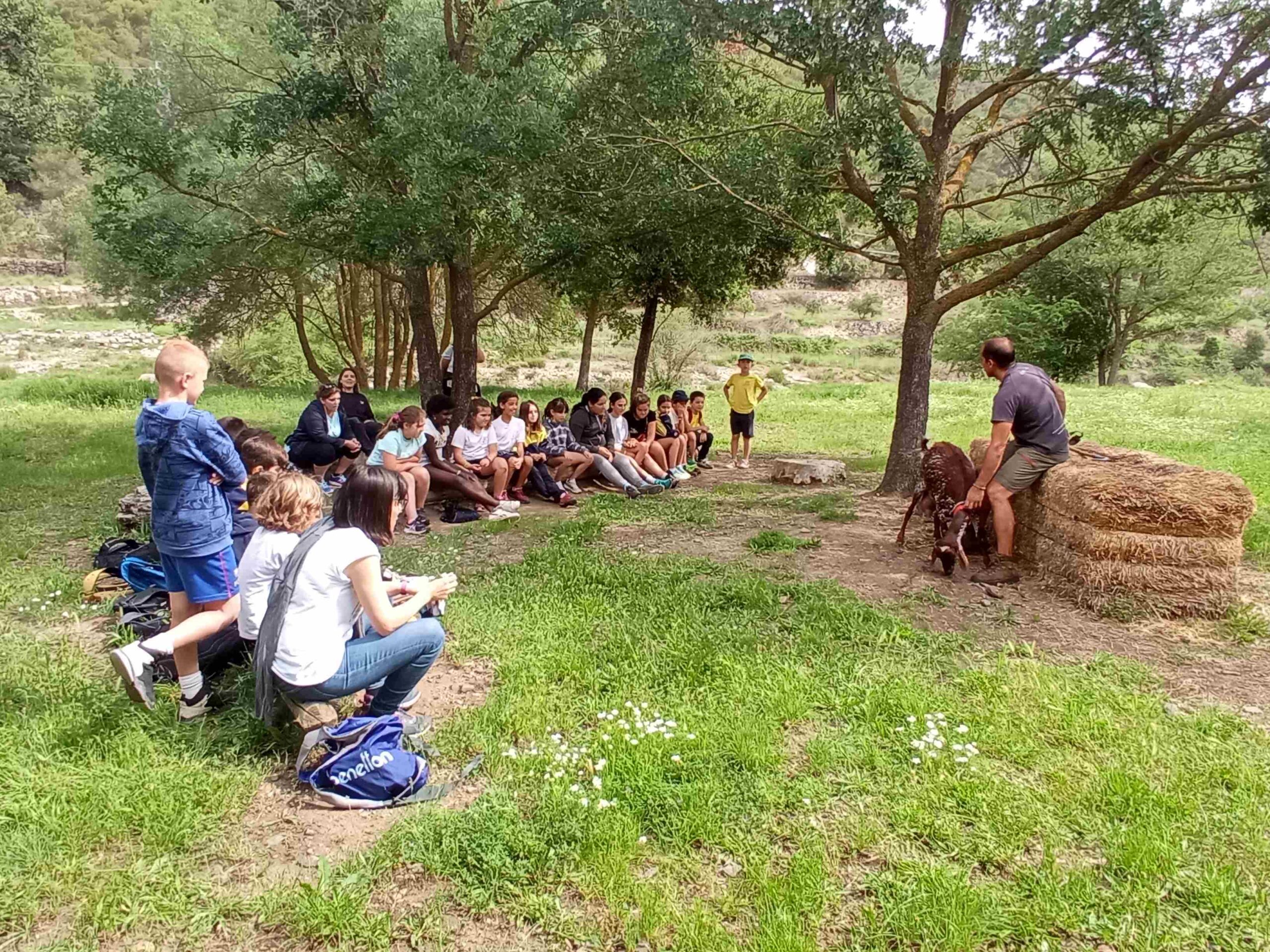 capafonts pastor (23)