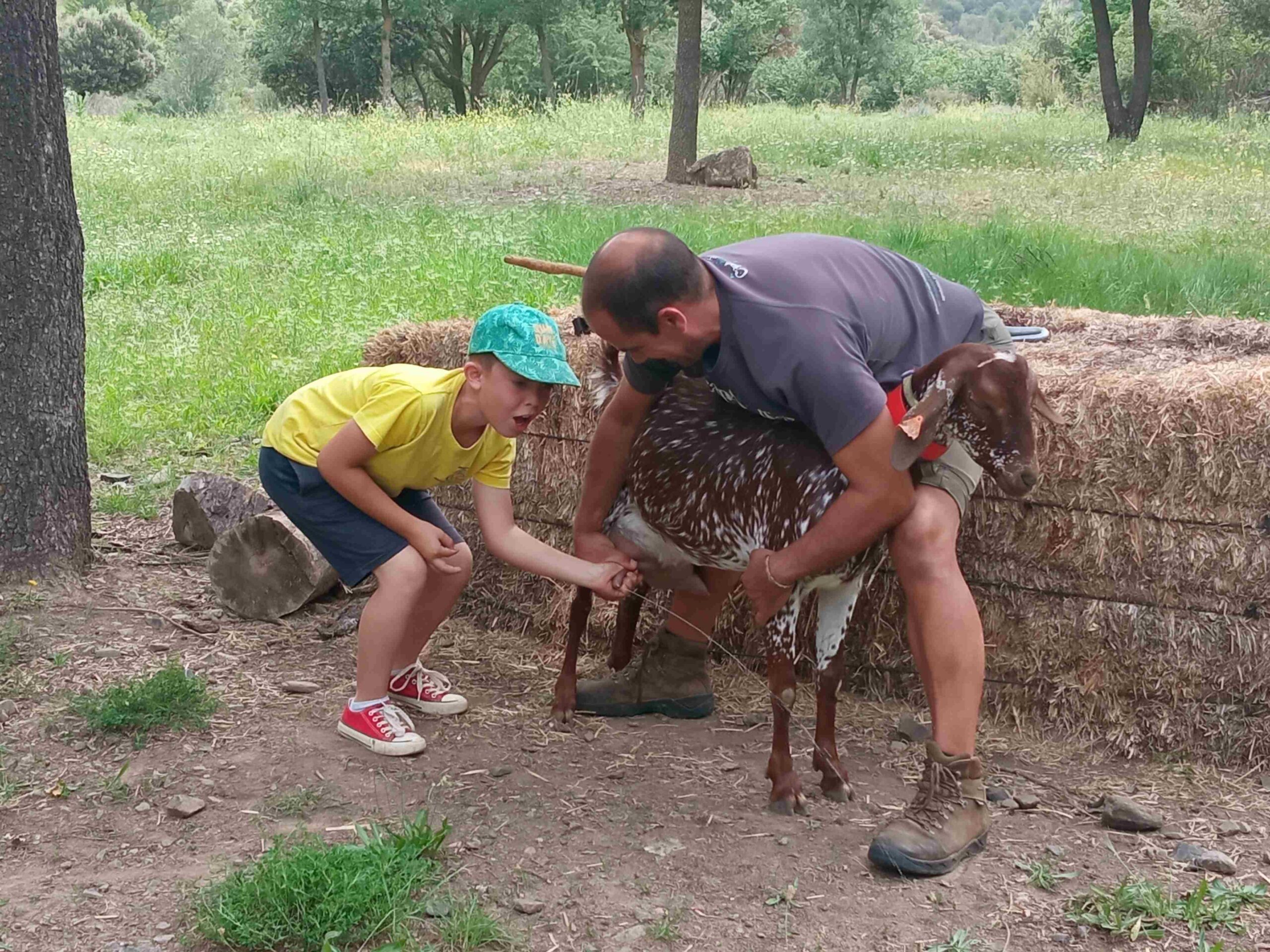 capafonts pastor (26)