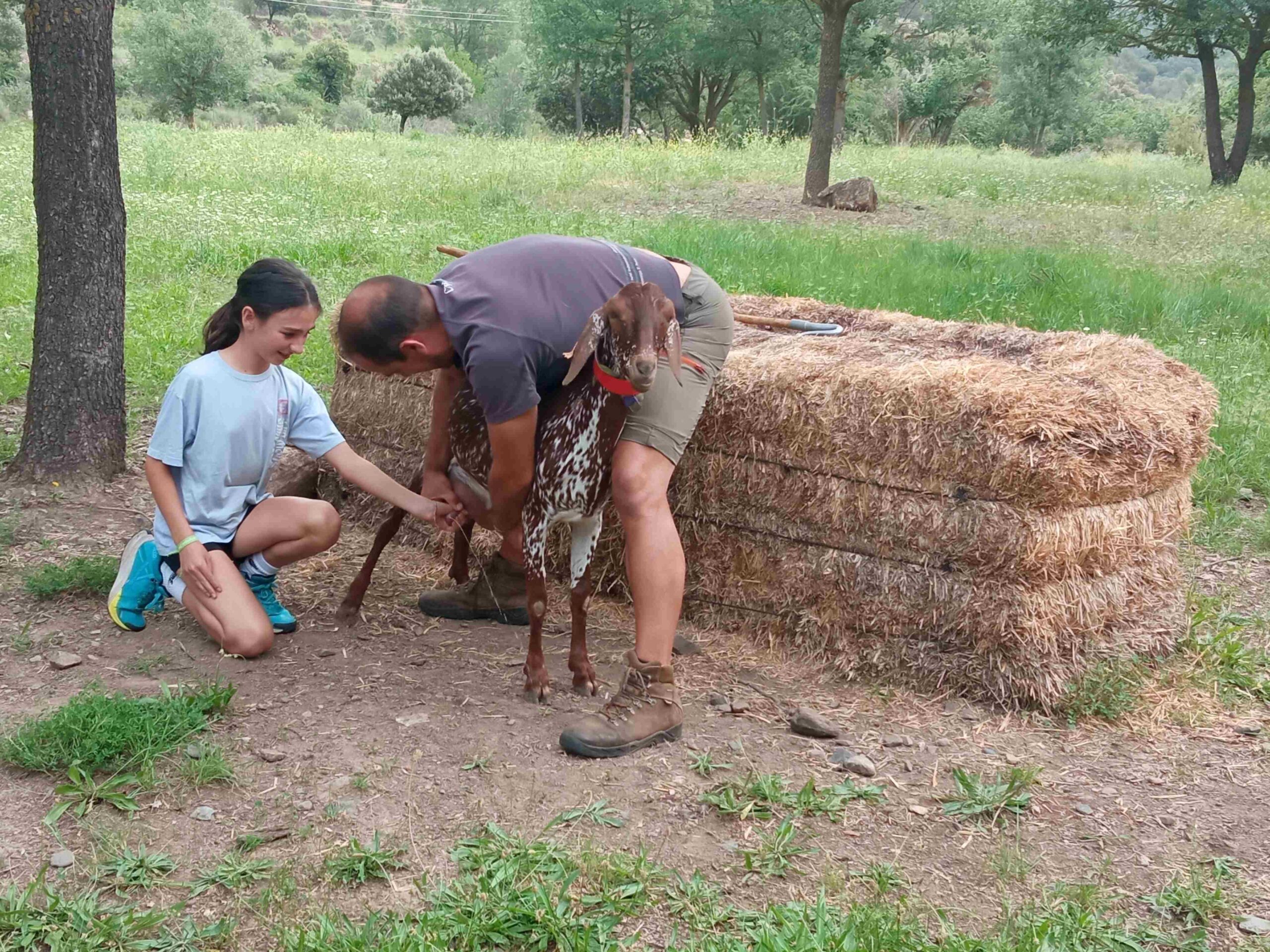 capafonts pastor (31)