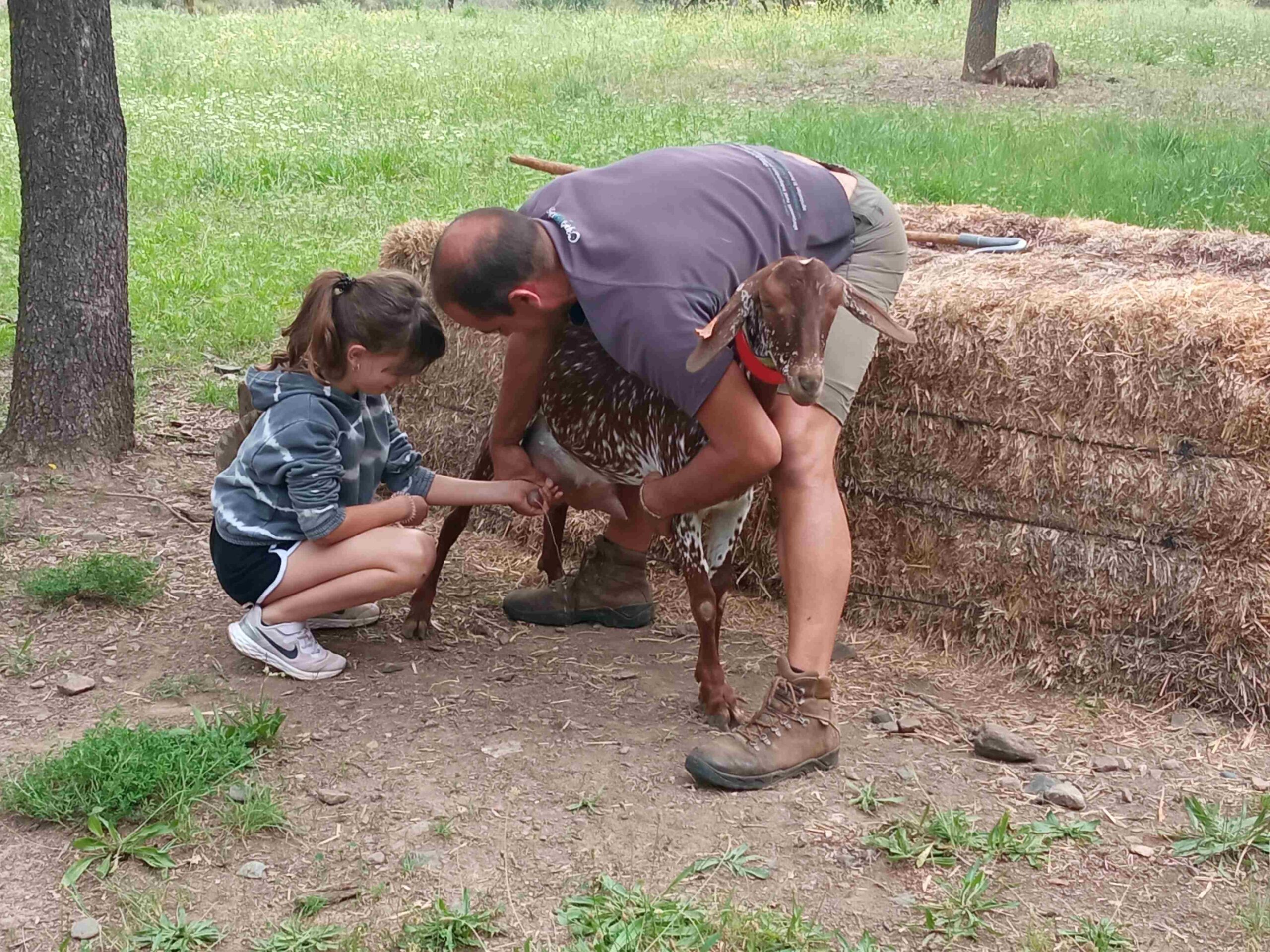 capafonts pastor (33)