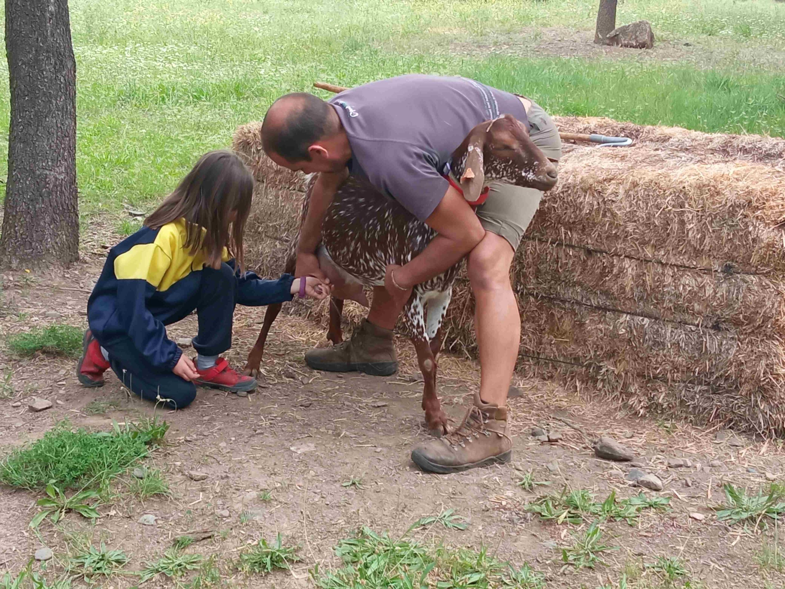 capafonts pastor (34)