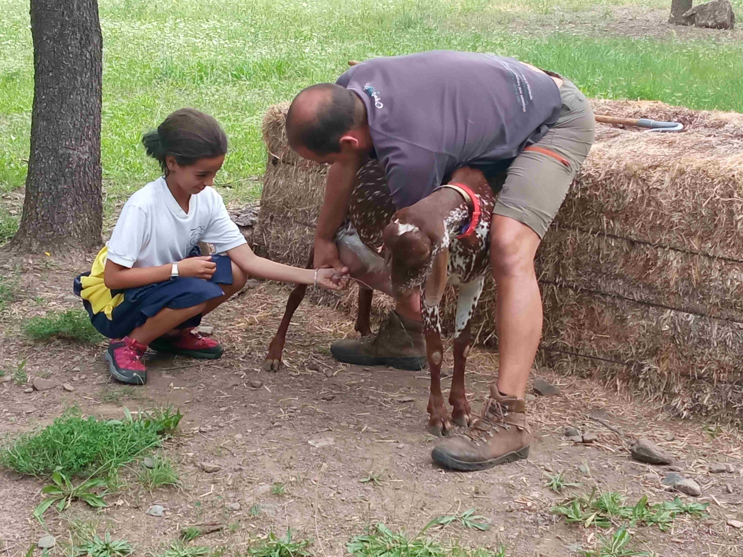 capafonts pastor (35)