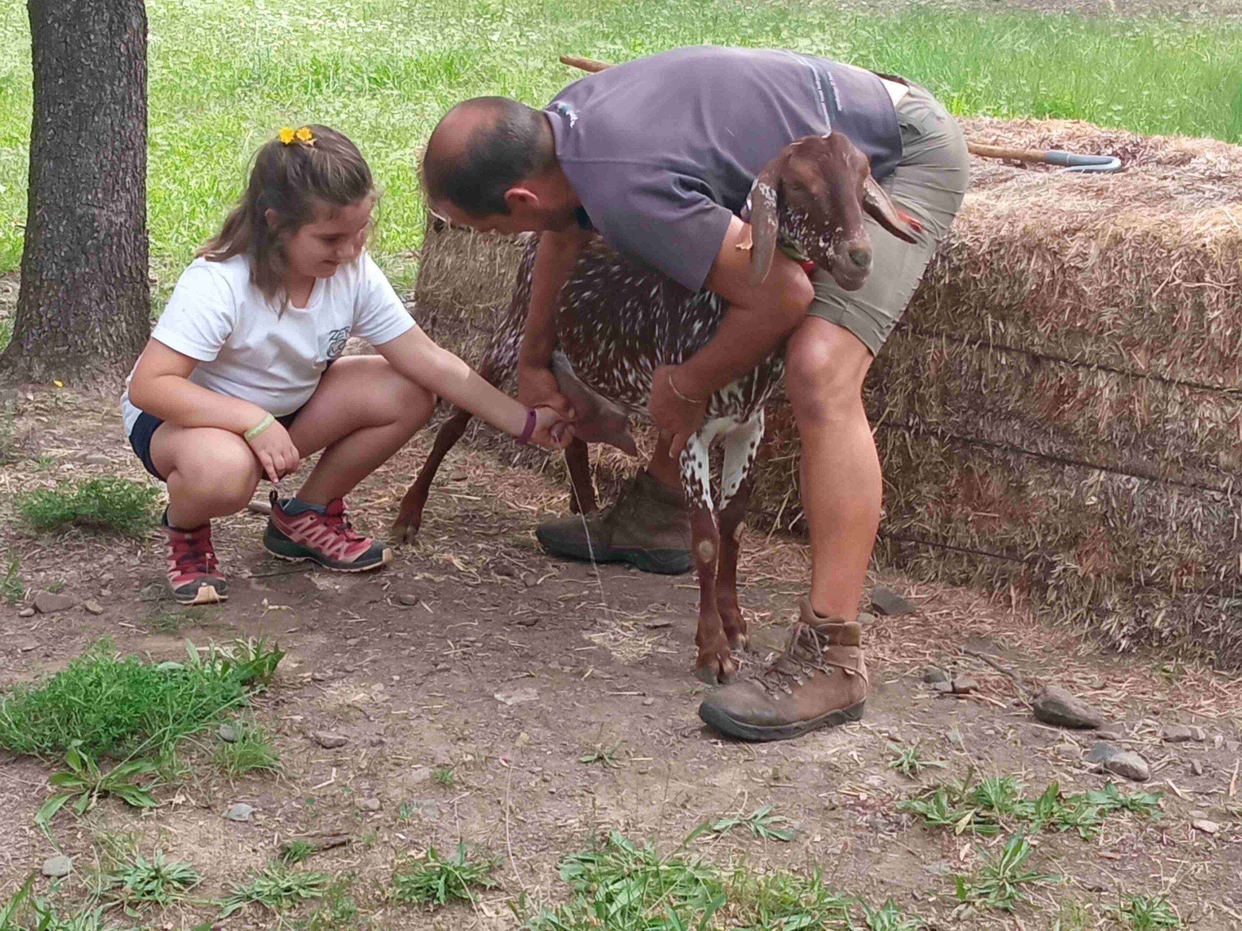 capafonts pastor (36)