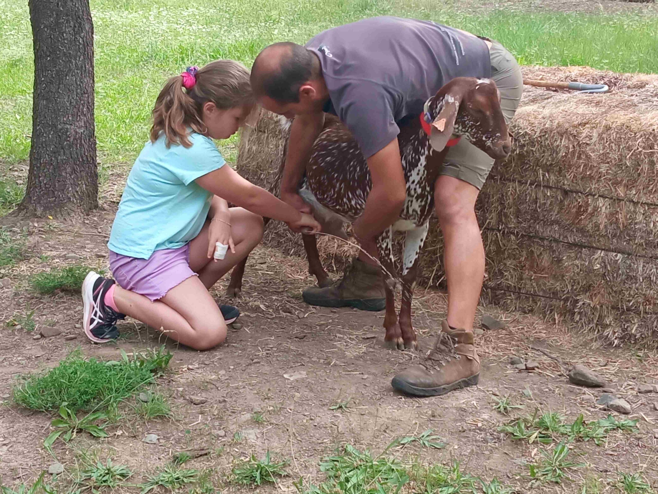 capafonts pastor (38)