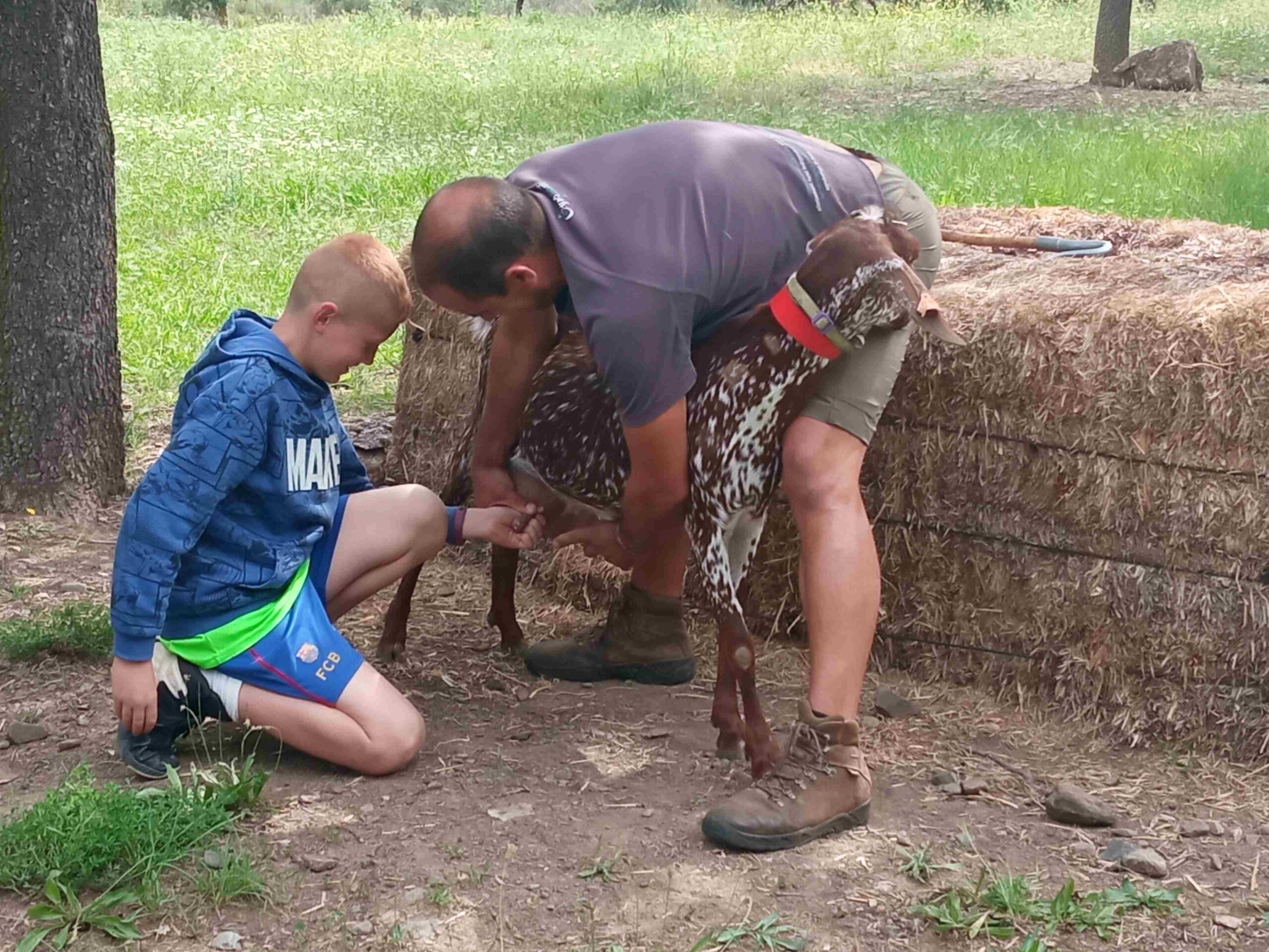 capafonts pastor (39)