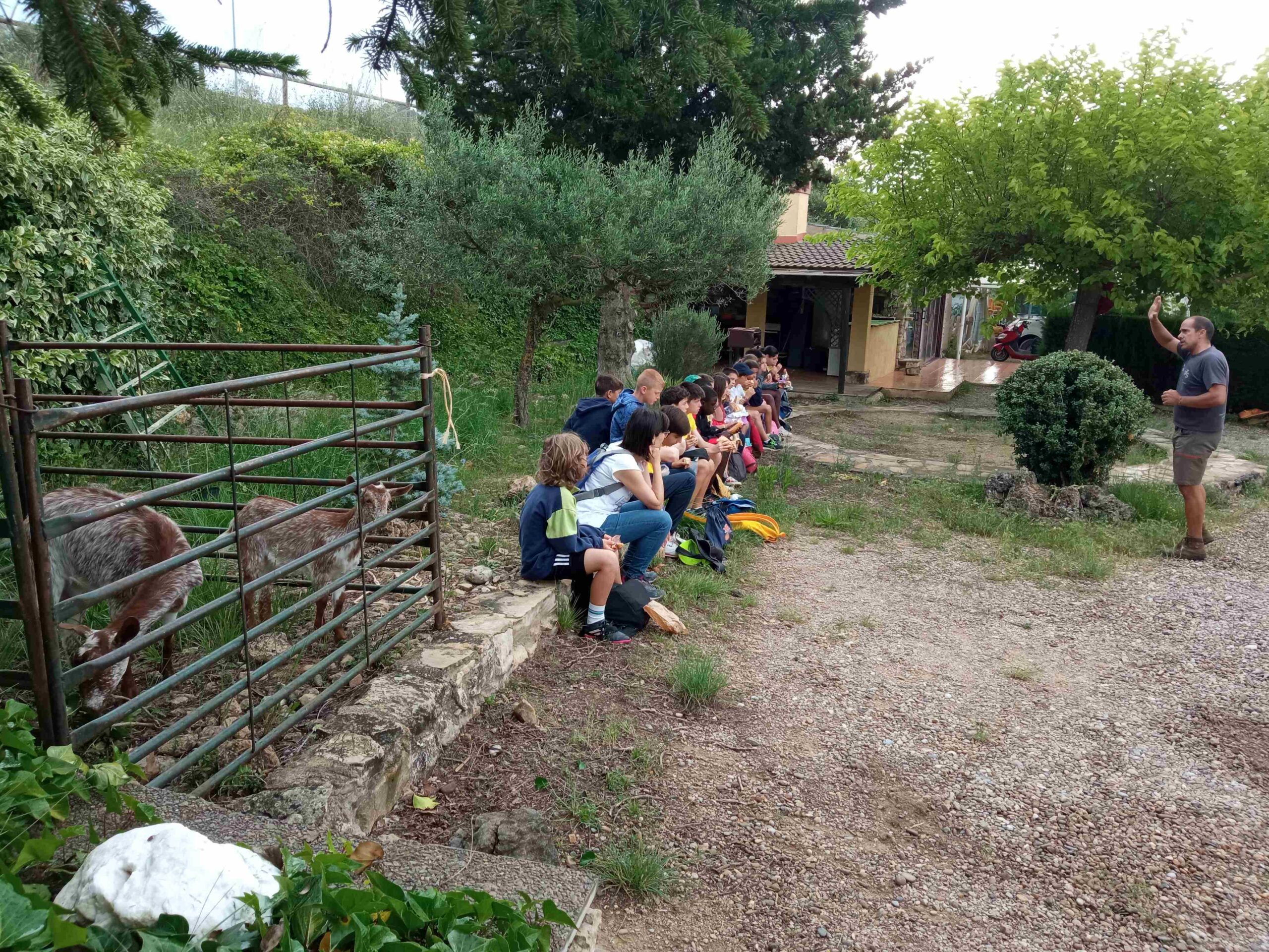 capafonts pastor (4)