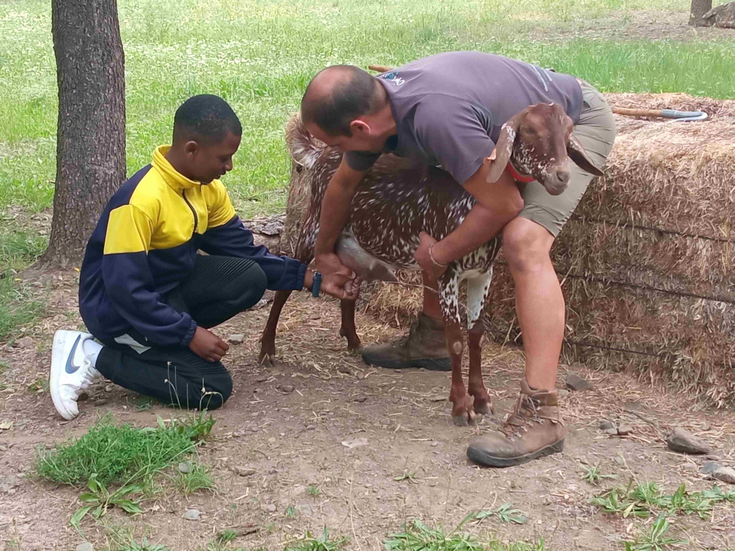 capafonts pastor (40)