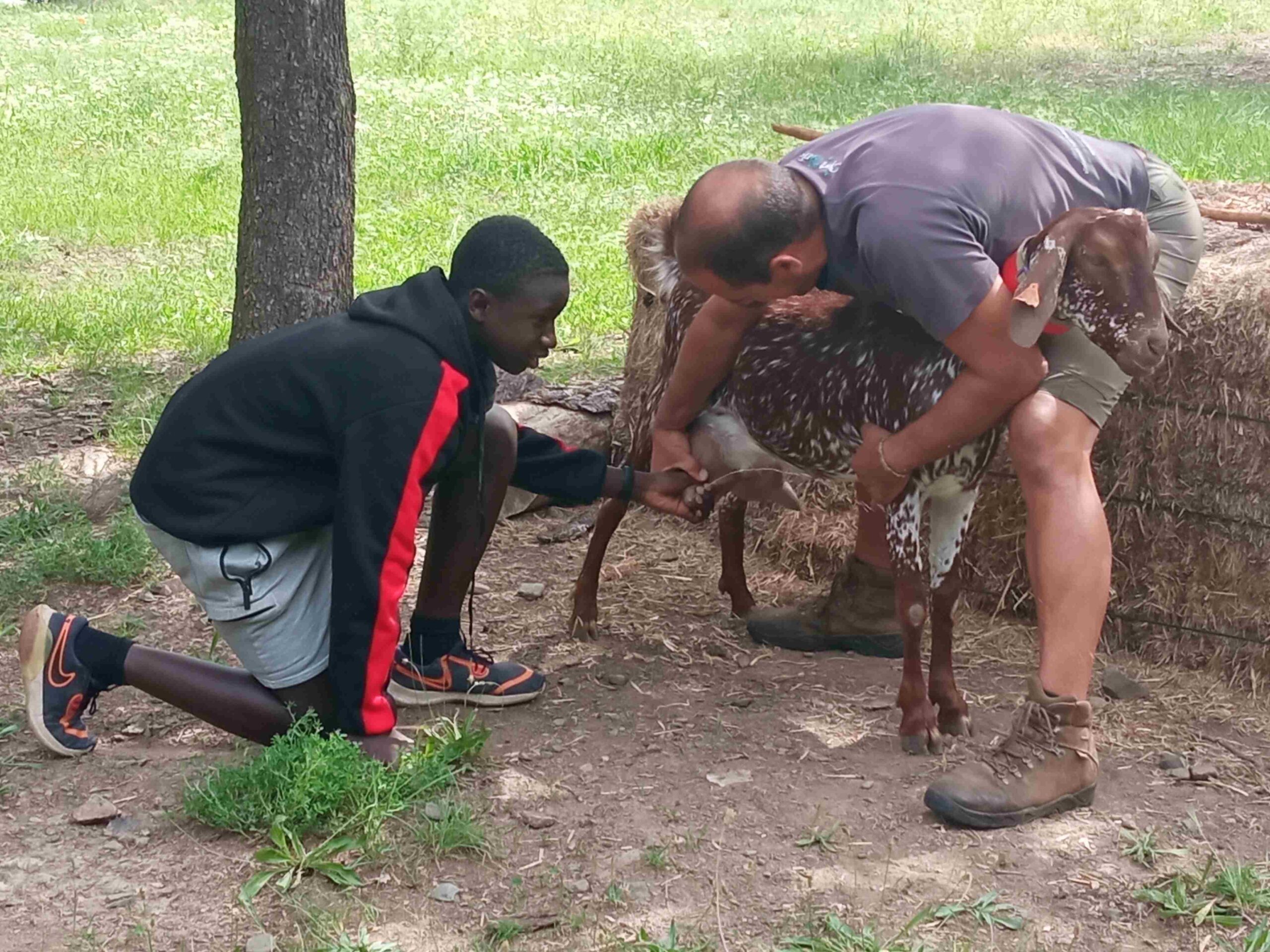 capafonts pastor (41)