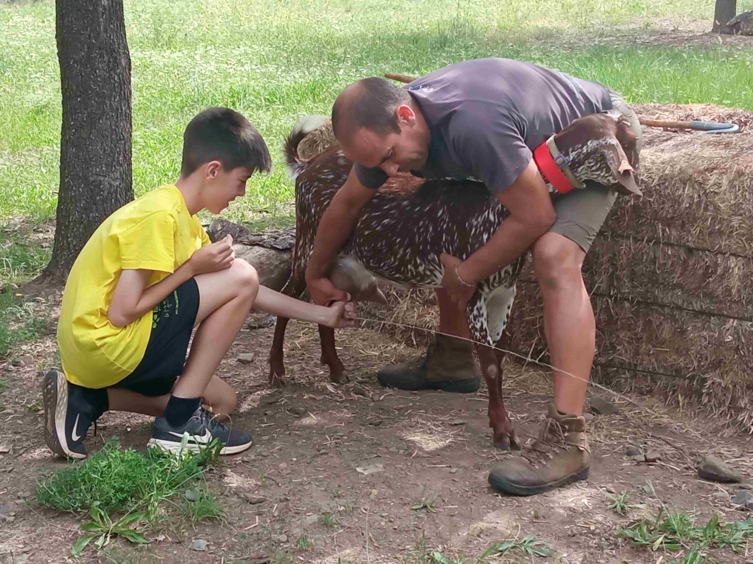 capafonts pastor (42)