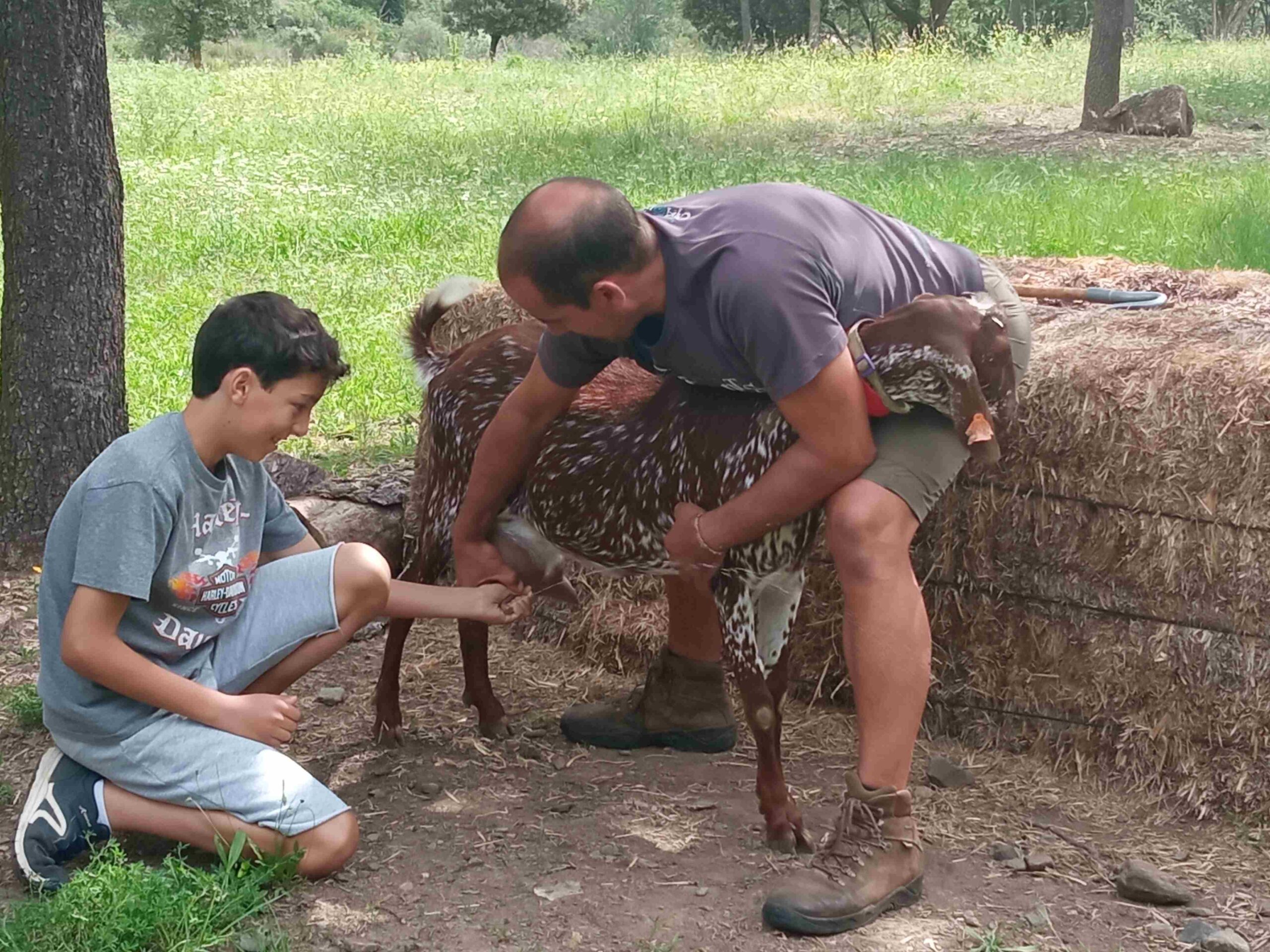 capafonts pastor (43)