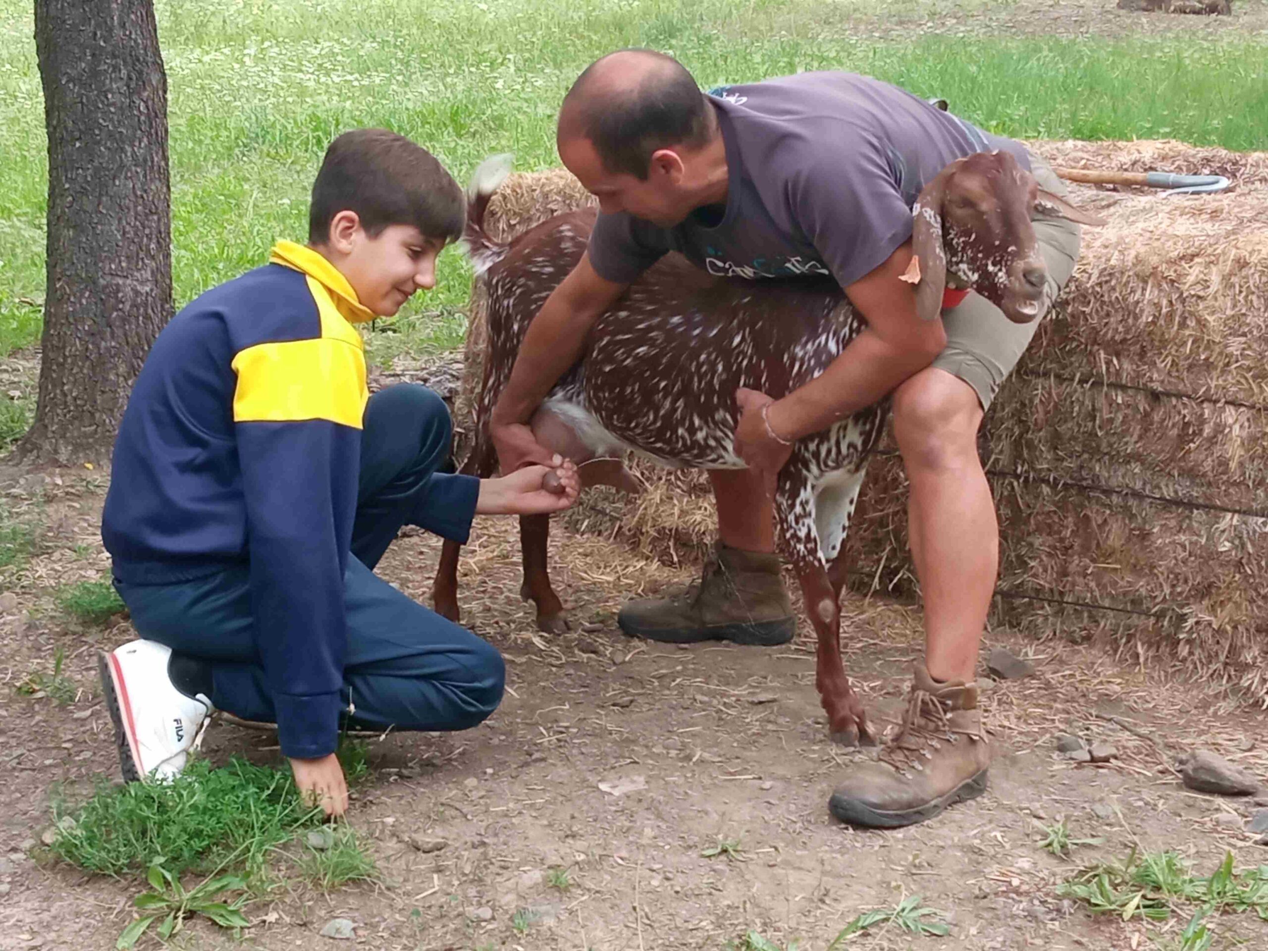 capafonts pastor (44)