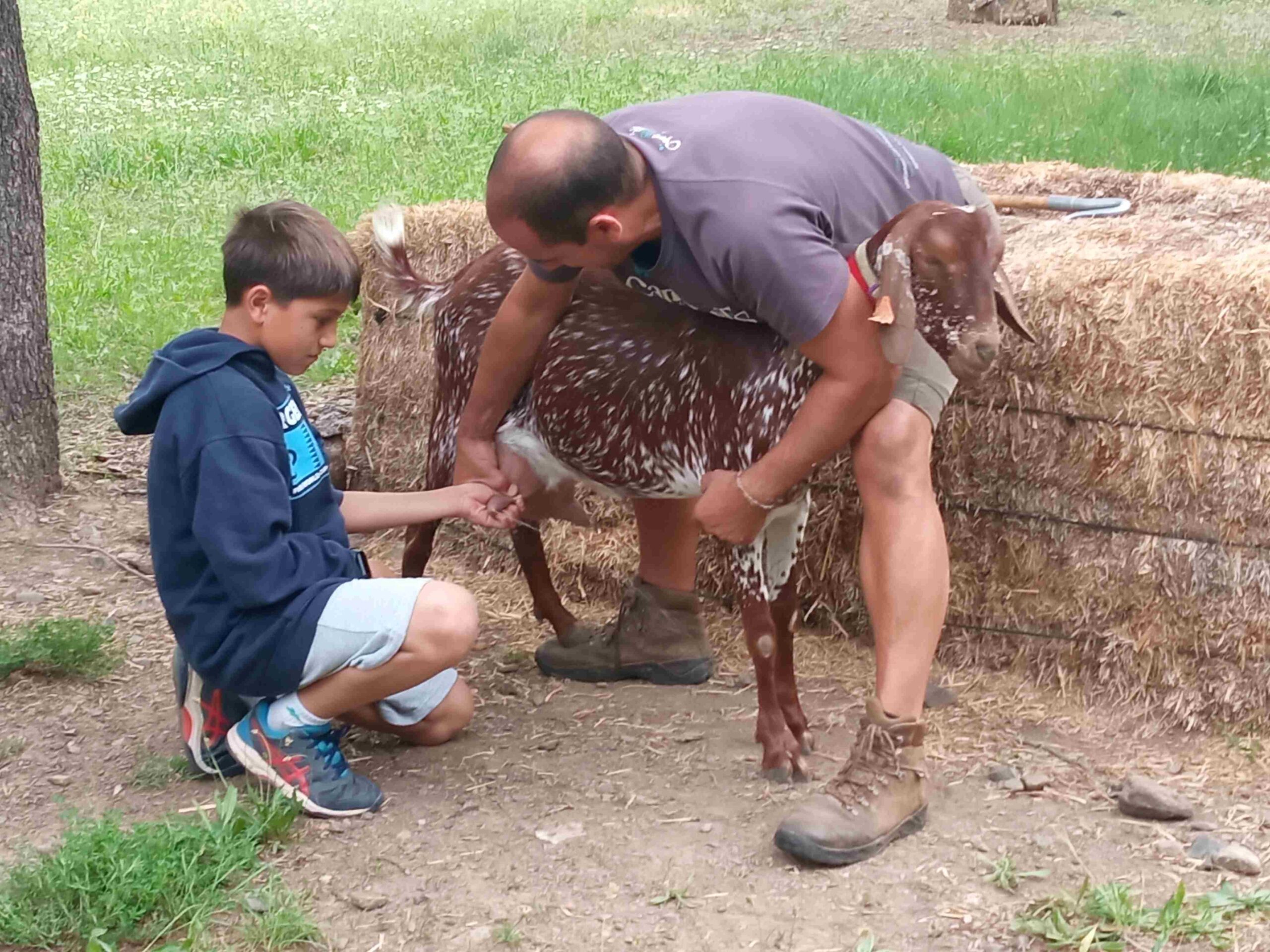 capafonts pastor (45)