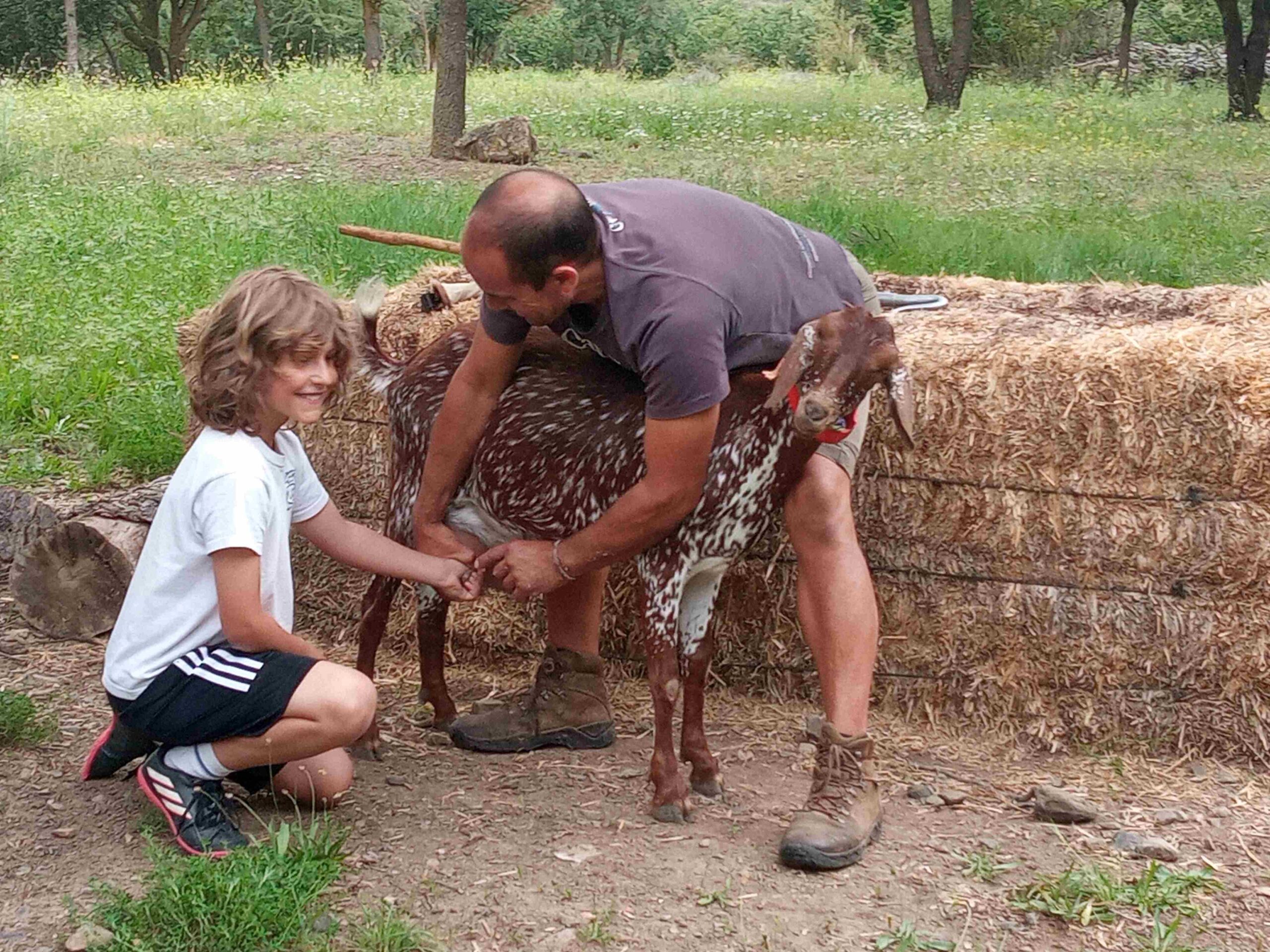 capafonts pastor (46)