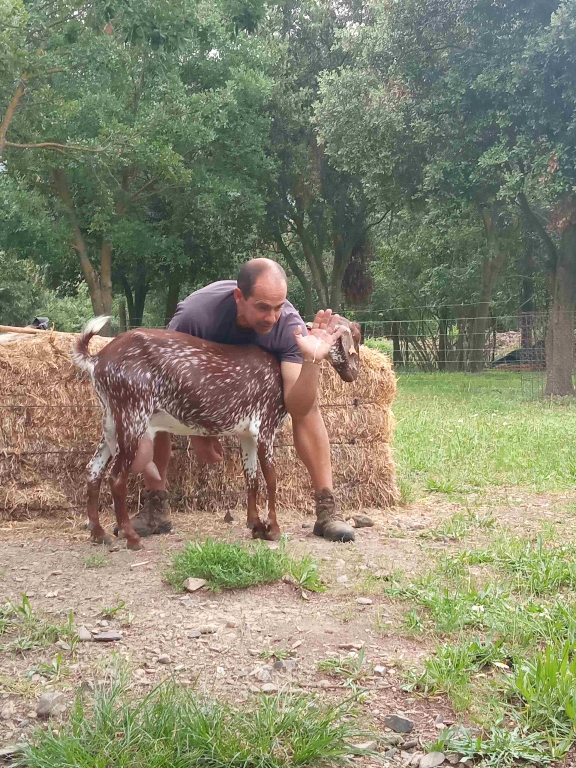 capafonts pastor (47)