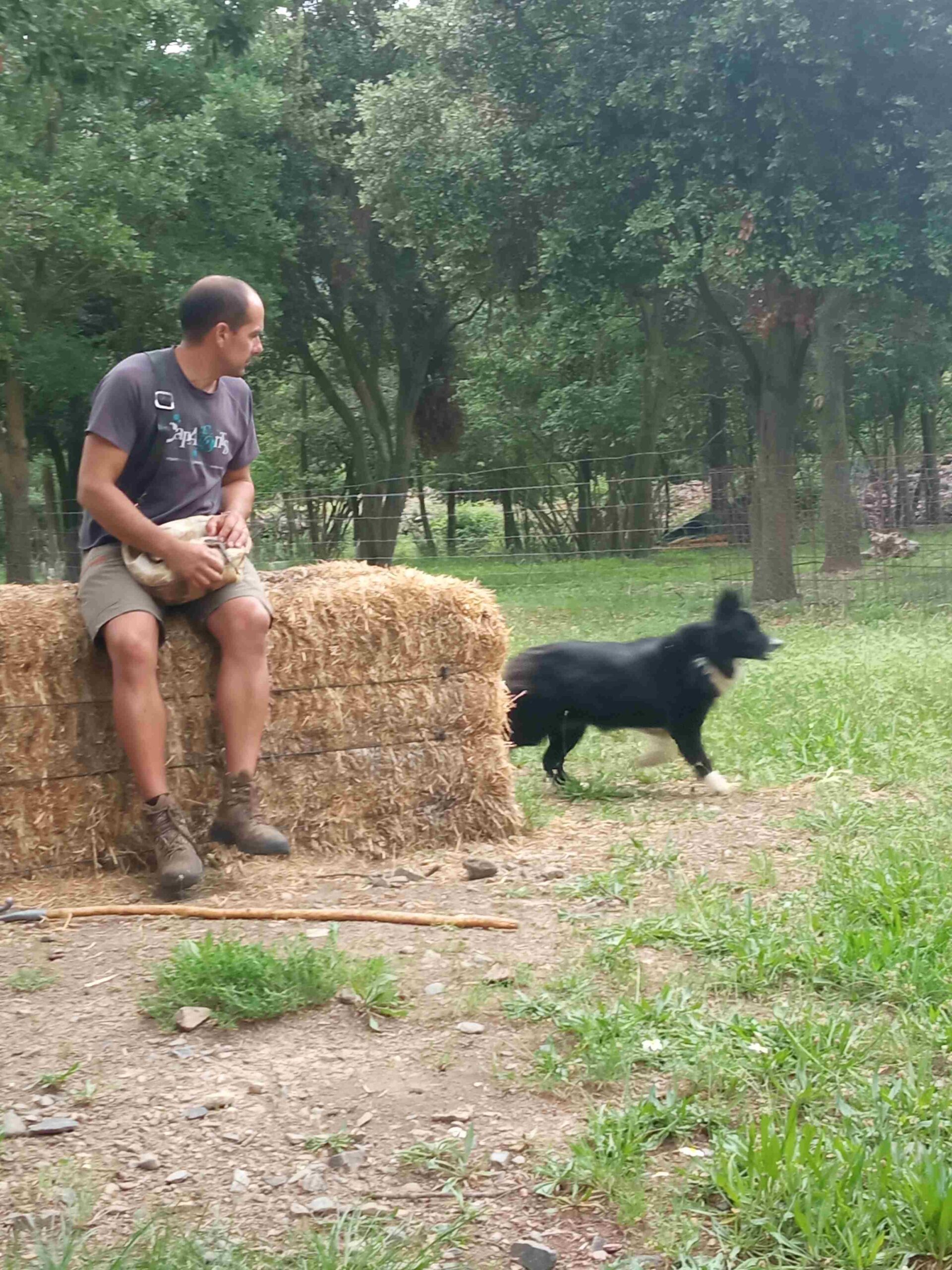 capafonts pastor (49)