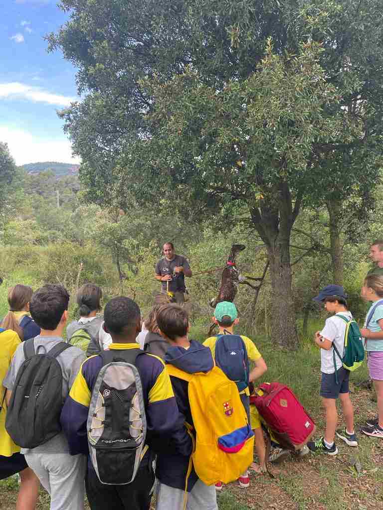 capafonts pastor (5)