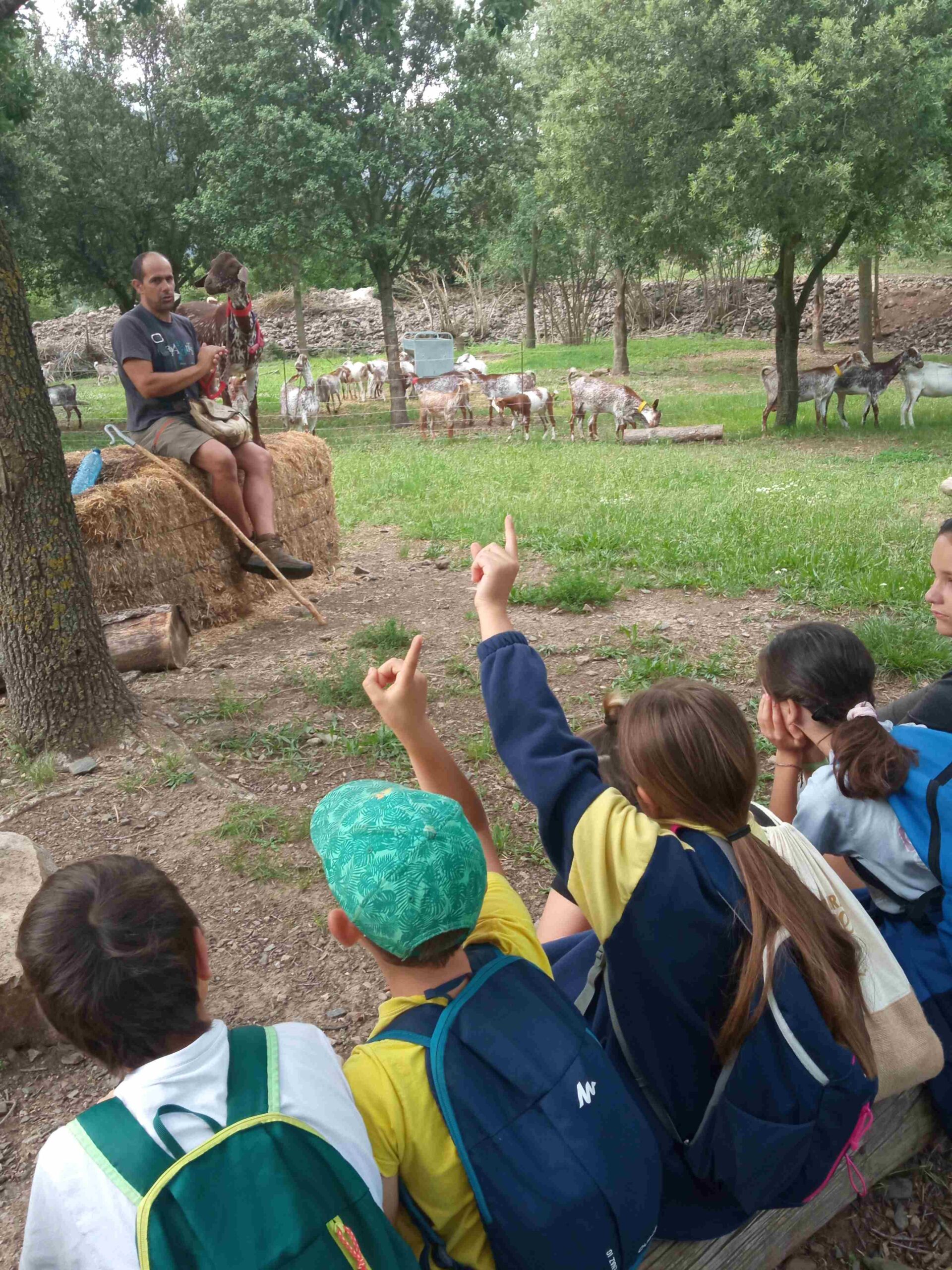 capafonts pastor (50)