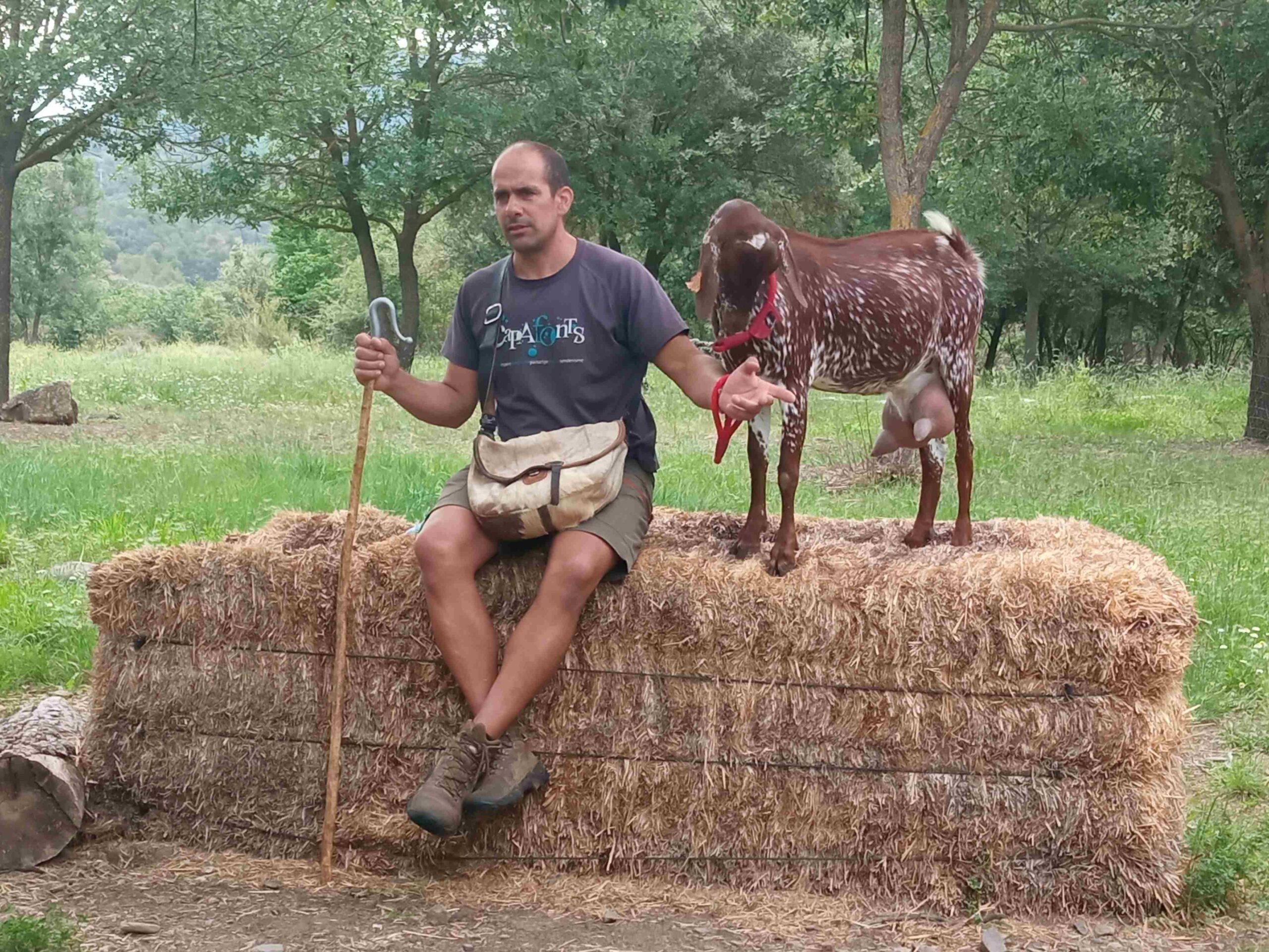 capafonts pastor (51)