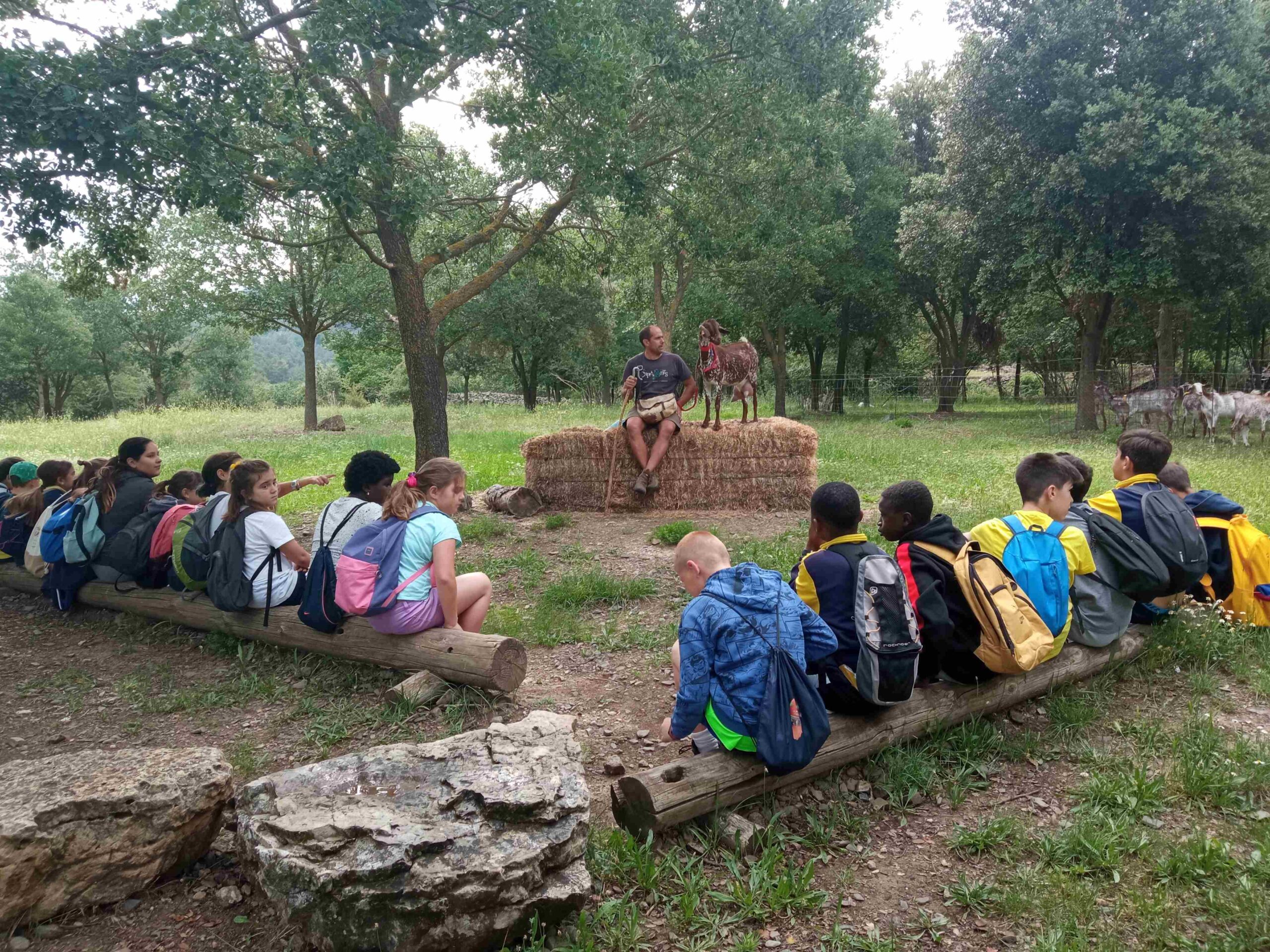 capafonts pastor (52)