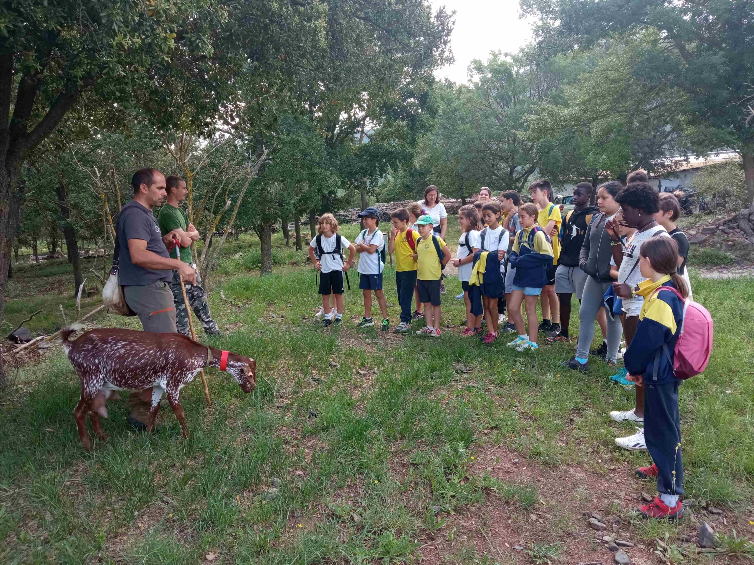 capafonts pastor (53)