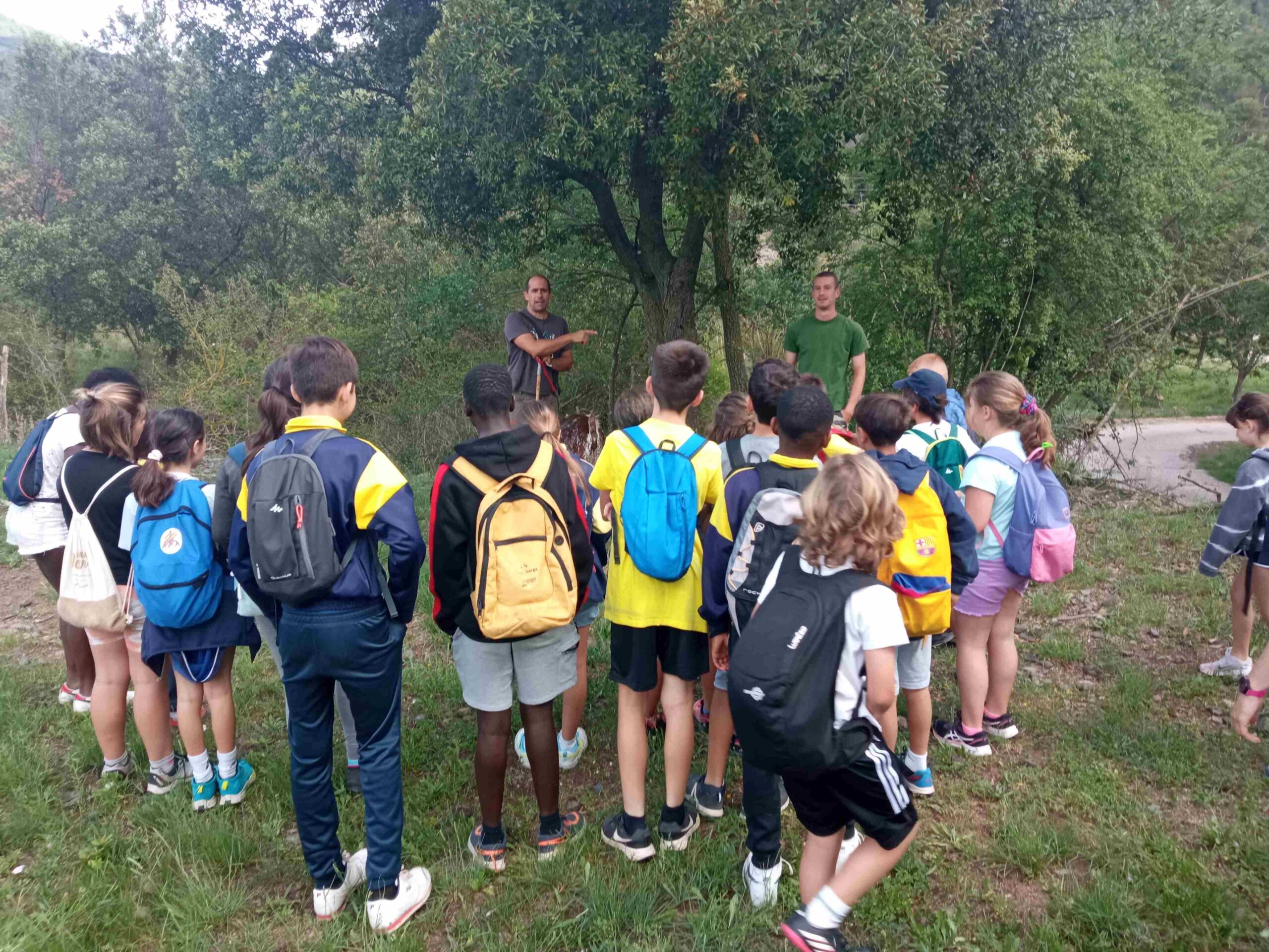 capafonts pastor (54)