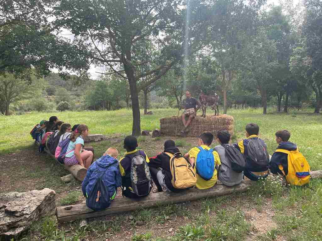 capafonts pastor (6)