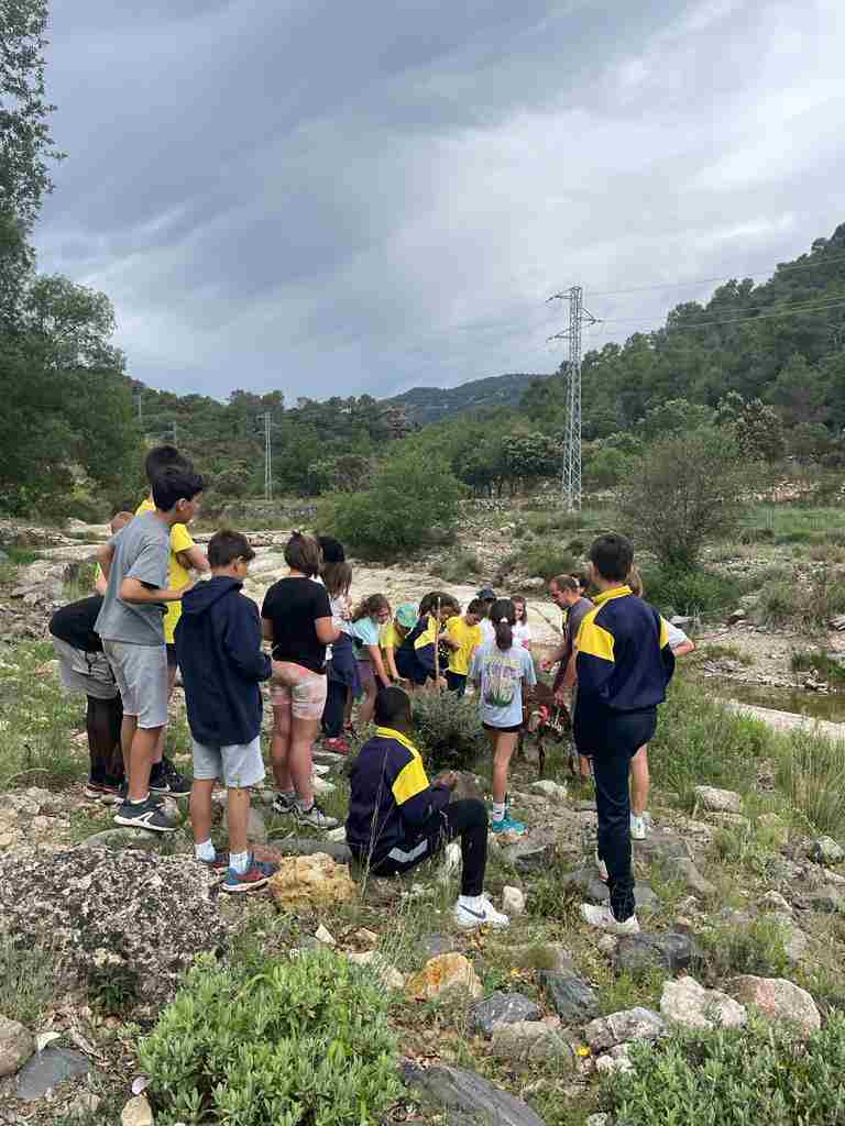 capafonts pastor (8)