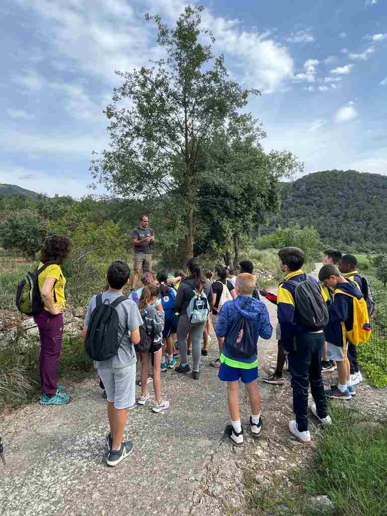 capafonts pastor (9)