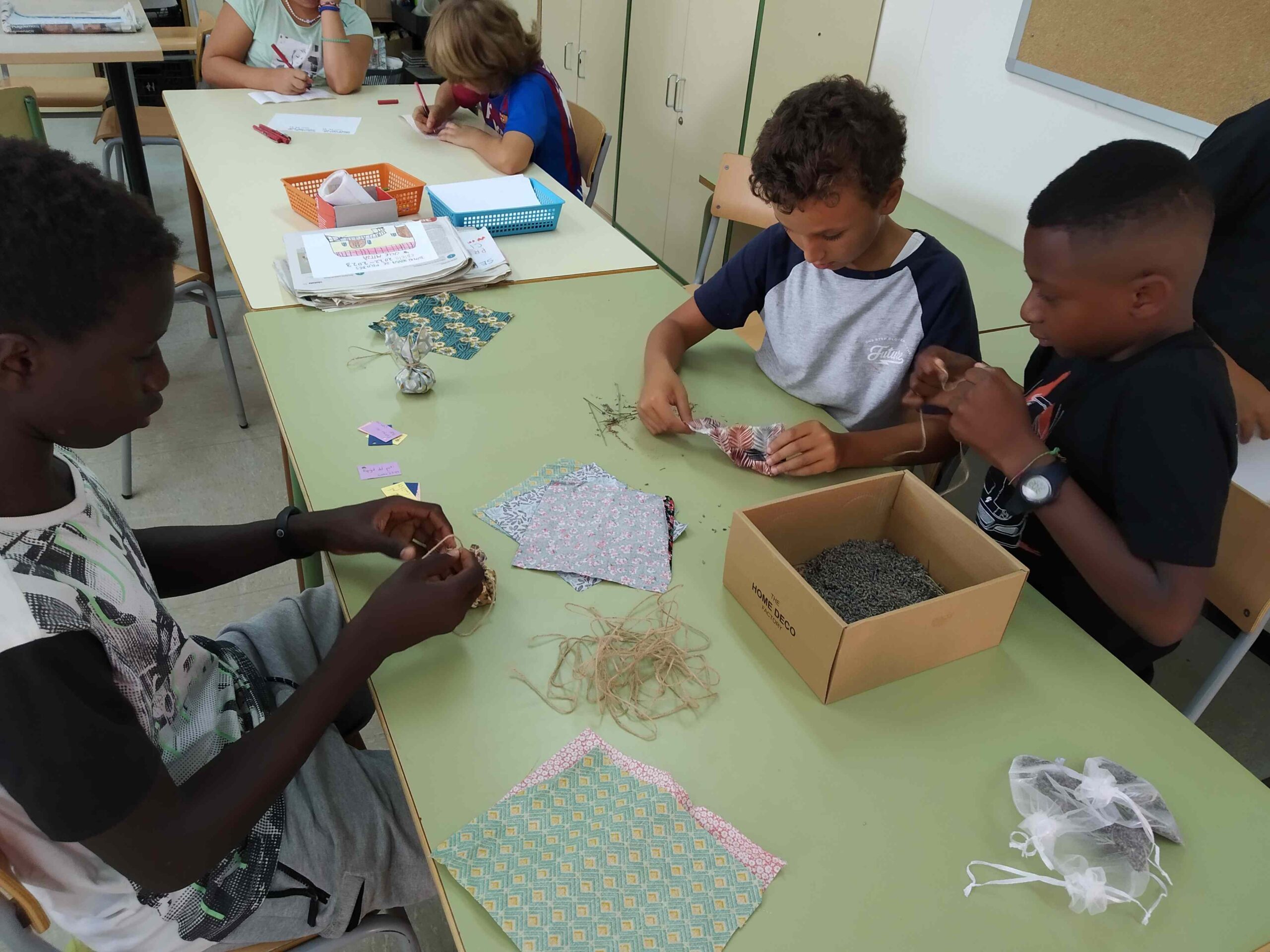 primers dies_hort (11)