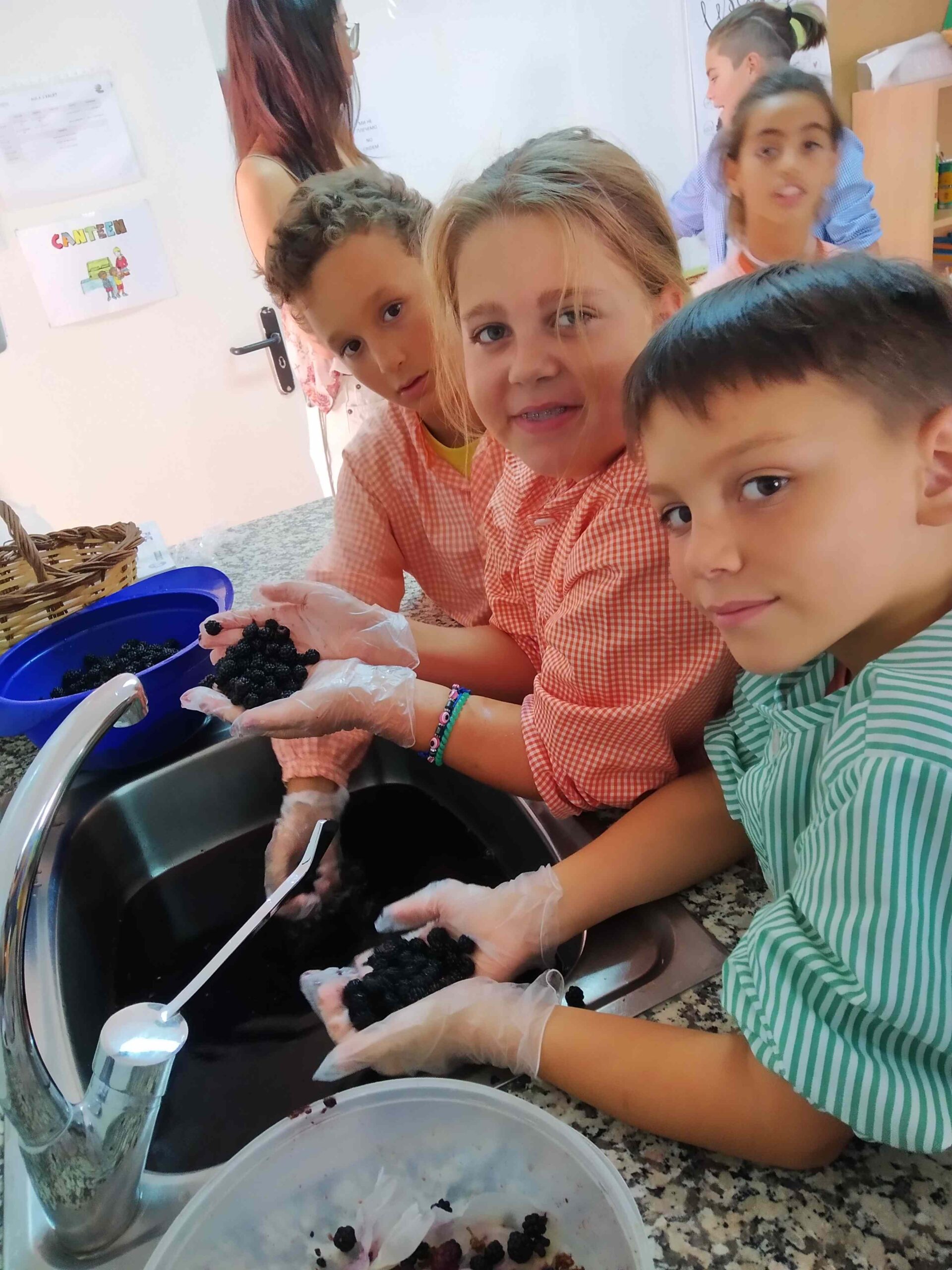 primers dies_hort (14)