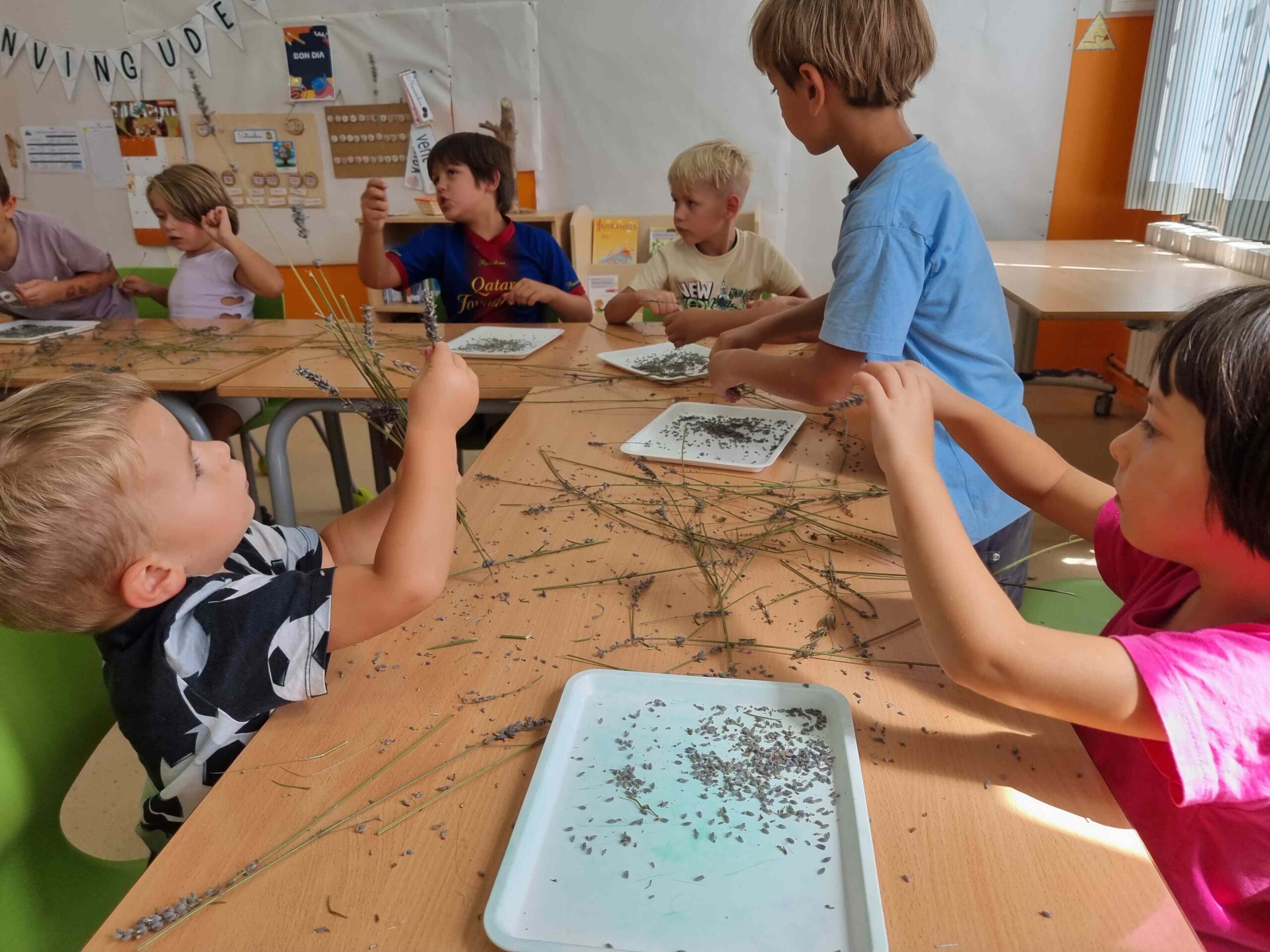 primers dies_hort (19)