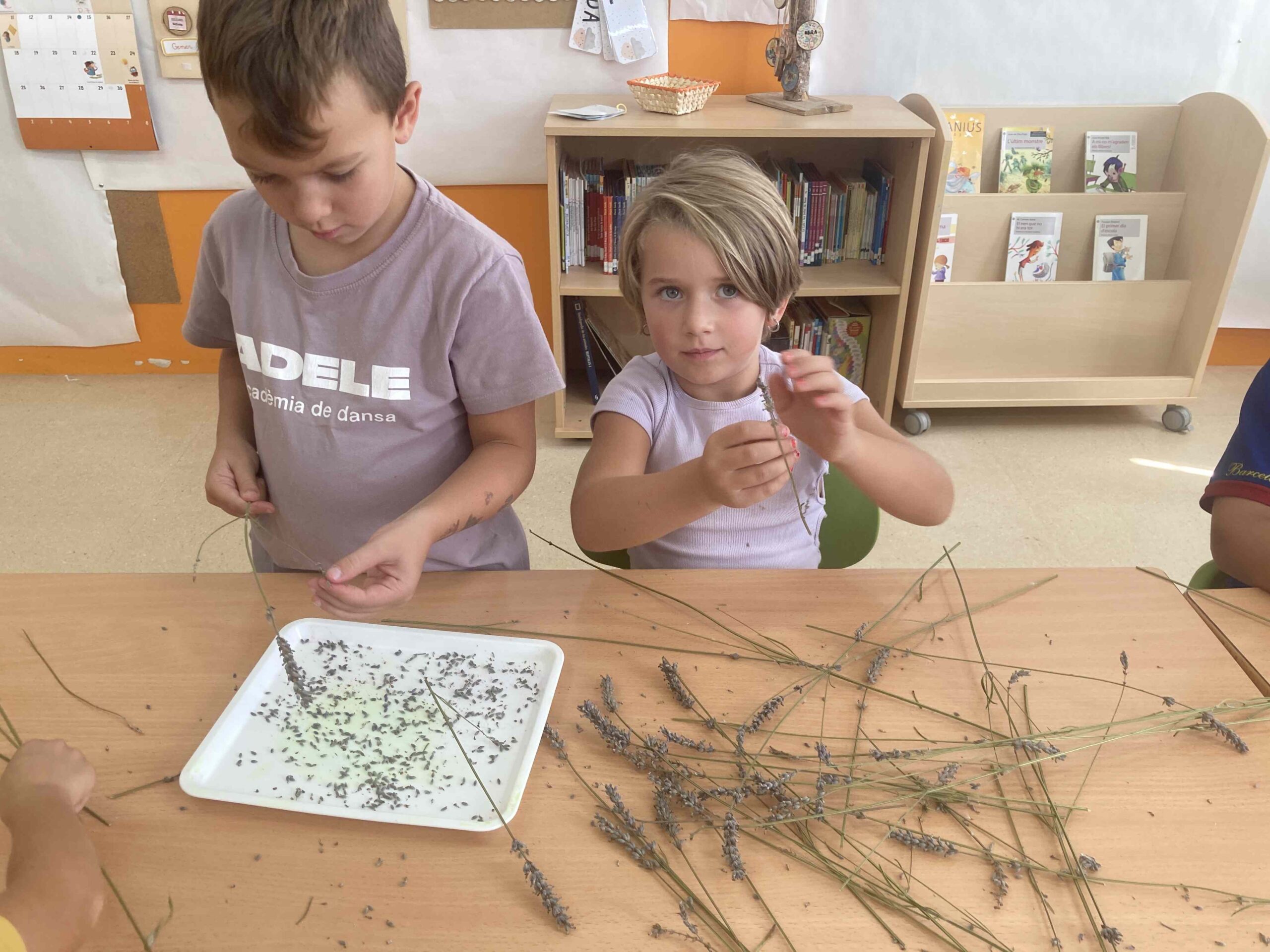 primers dies_hort (24)