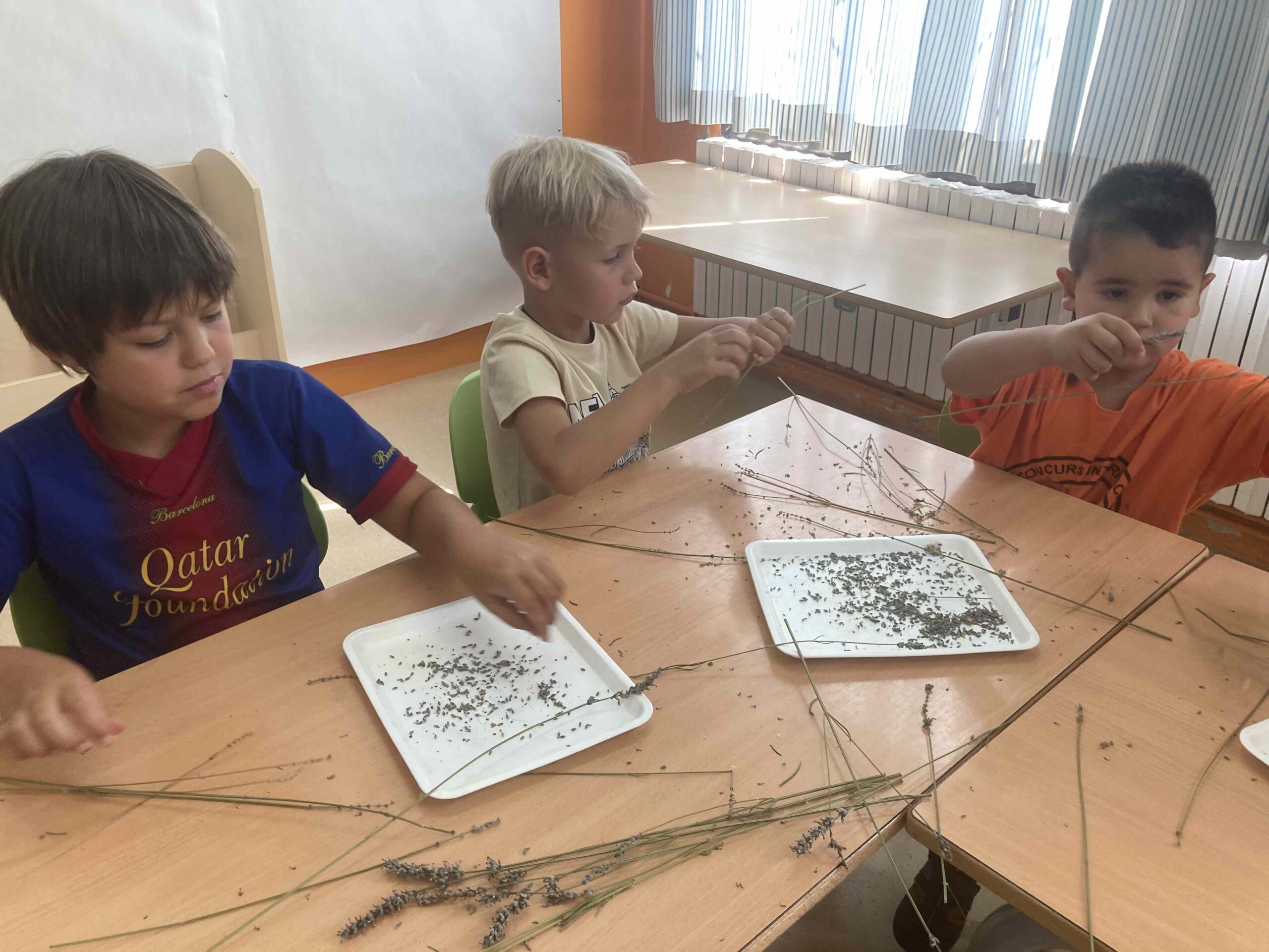 primers dies_hort (25)