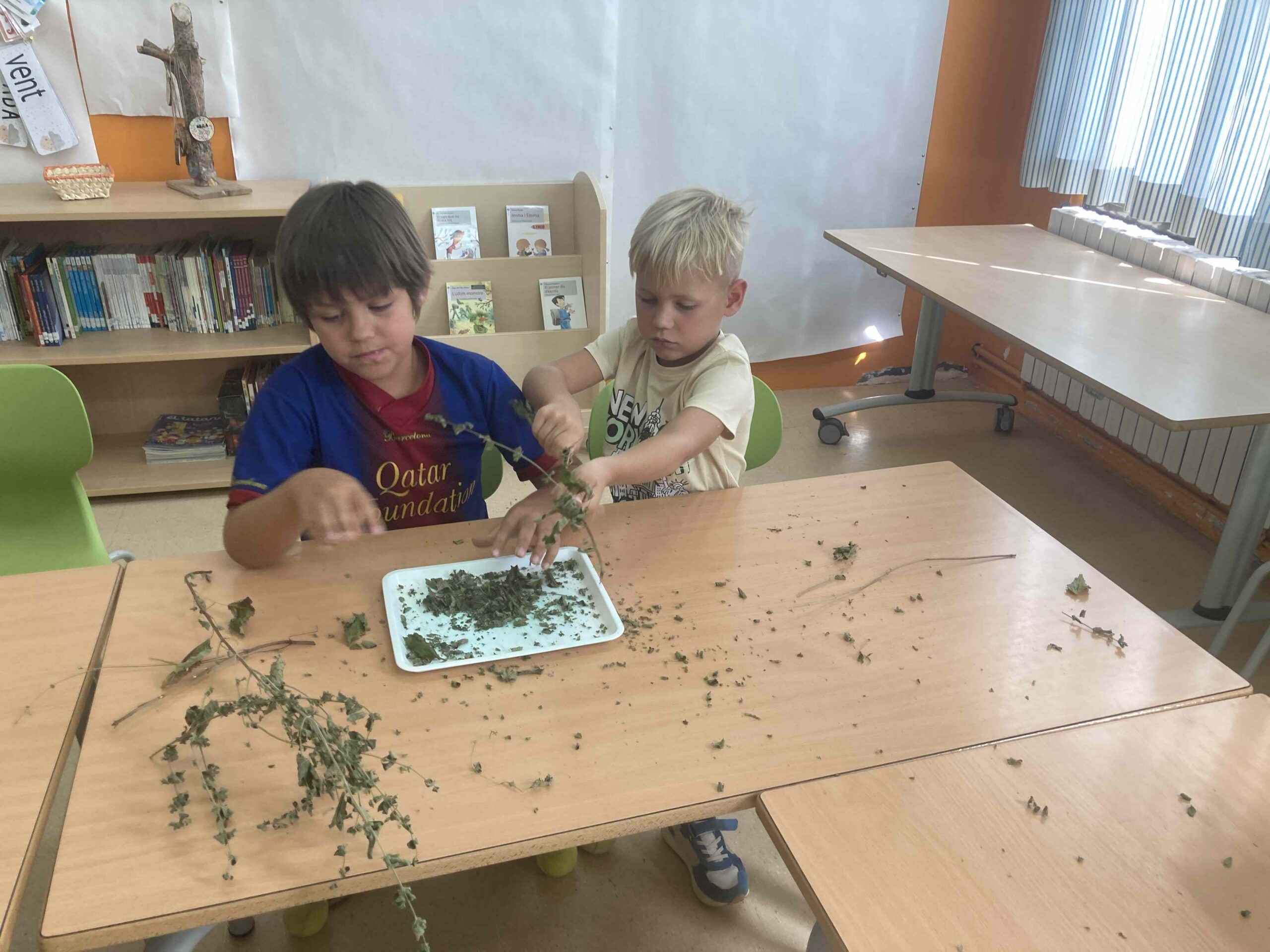 primers dies_hort (27)