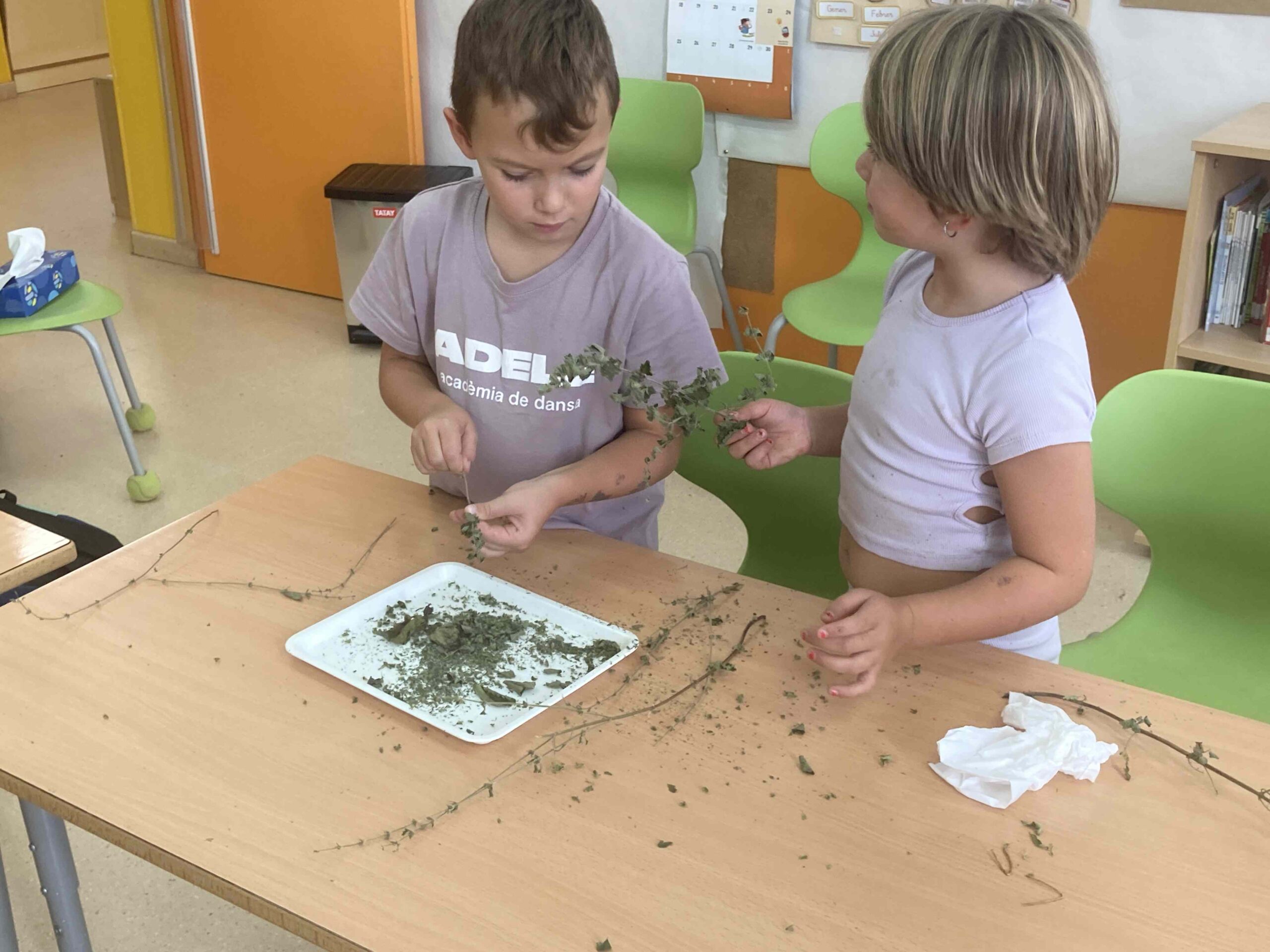 primers dies_hort (32)