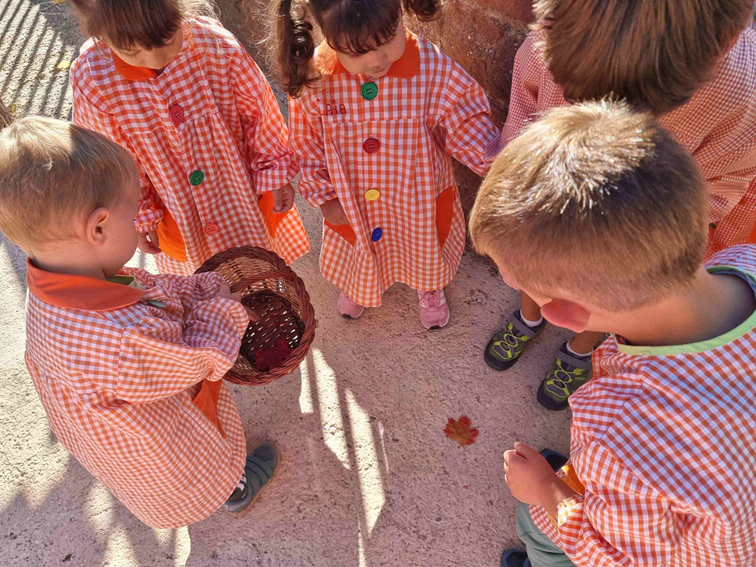 follet oriol tardor (10)