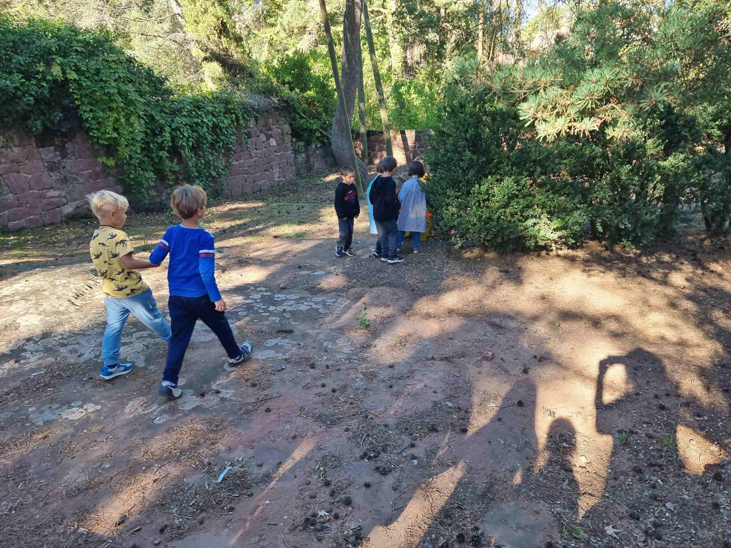 follet oriol tardor (12)