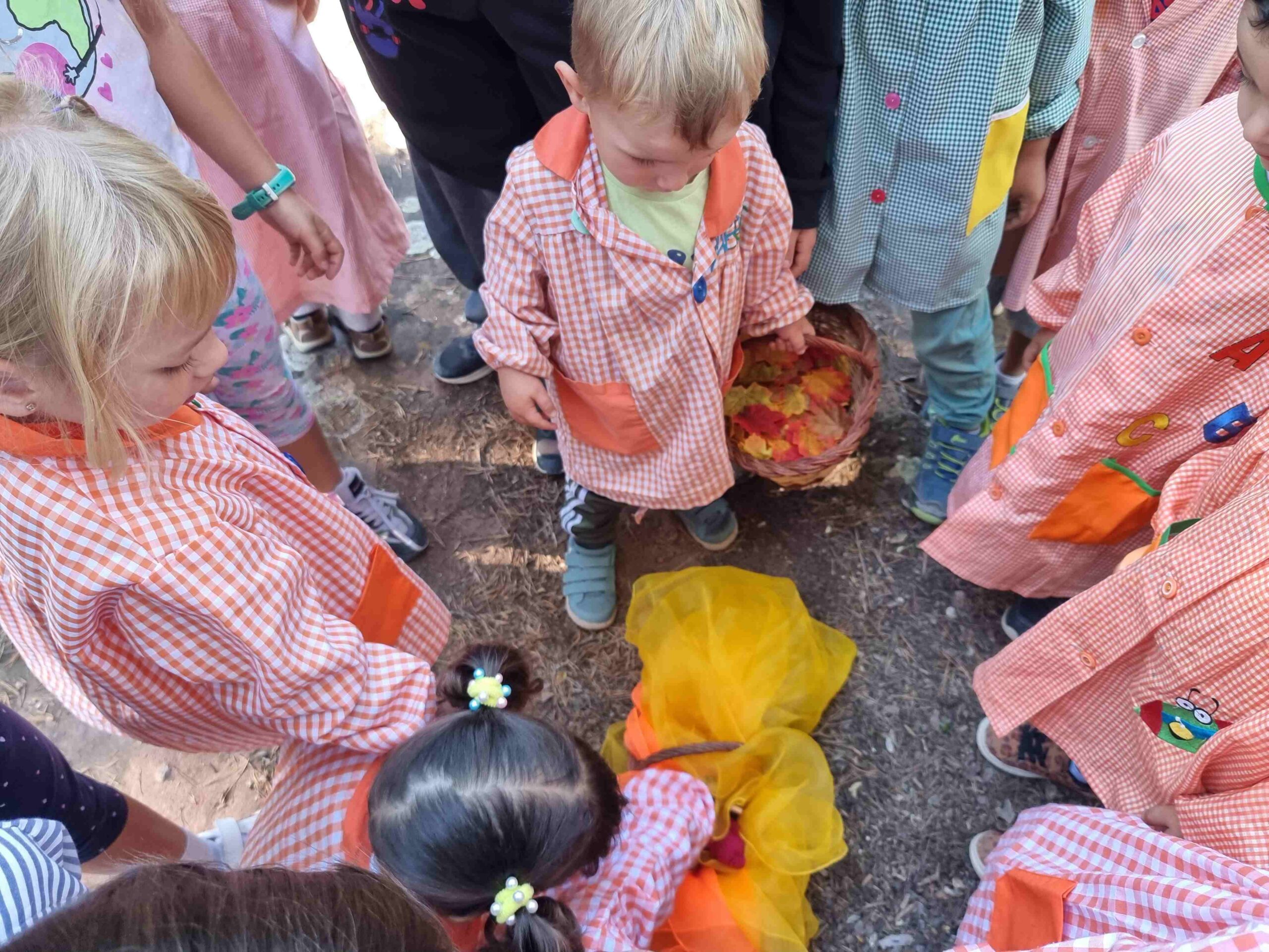 follet oriol tardor (13)