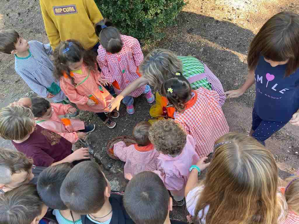 follet oriol tardor (4)