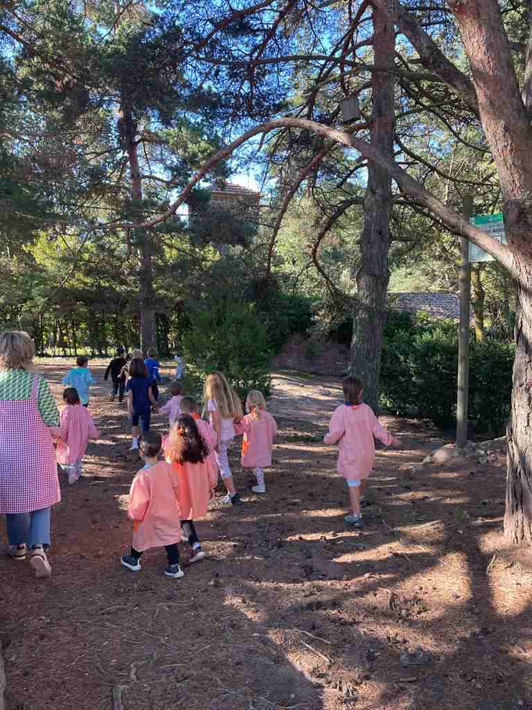 follet oriol tardor (5)