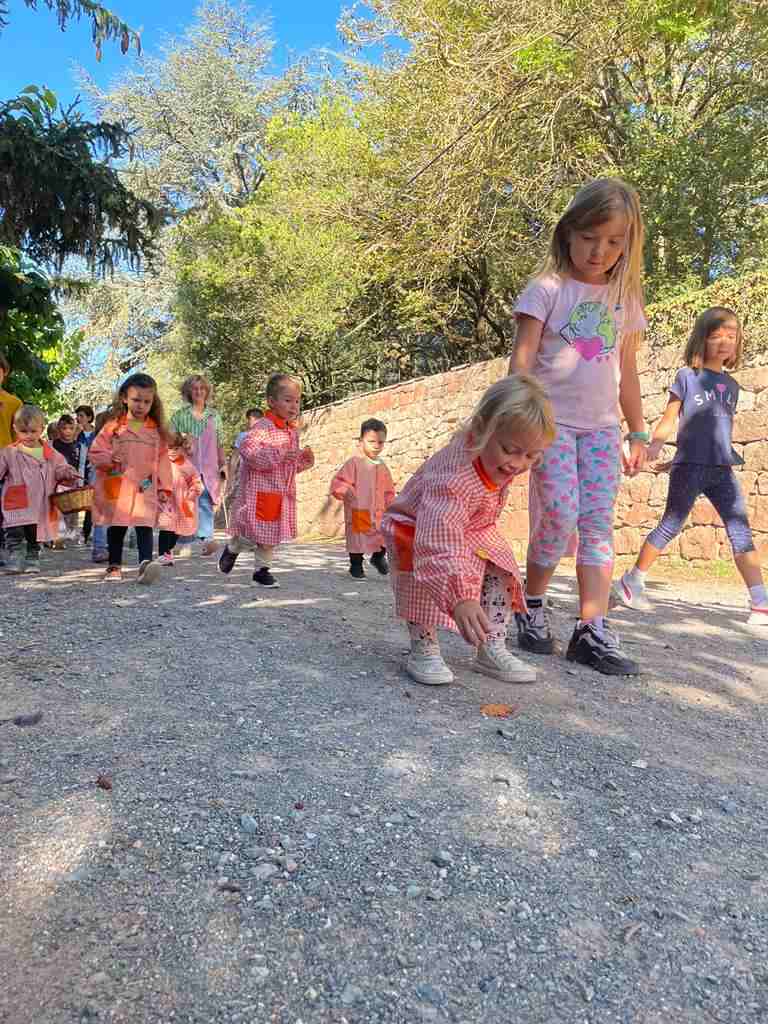 follet oriol tardor (6)