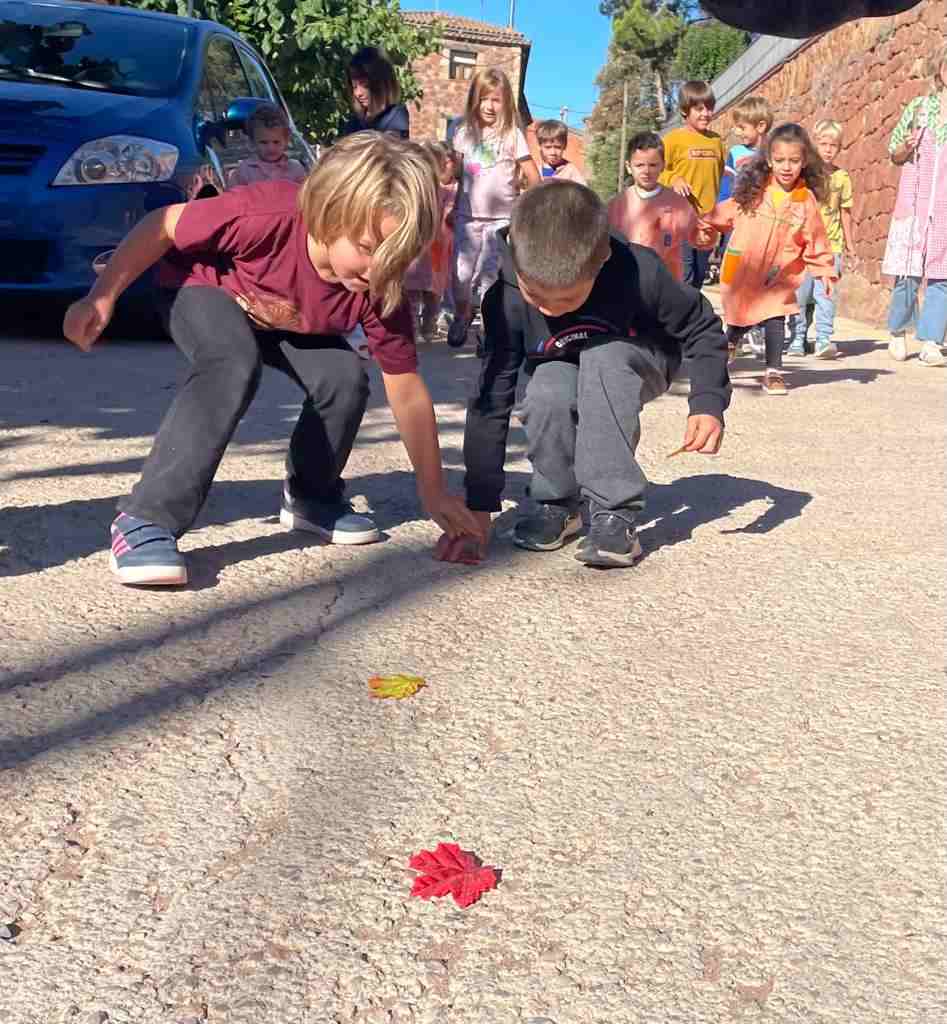 follet oriol tardor (8)