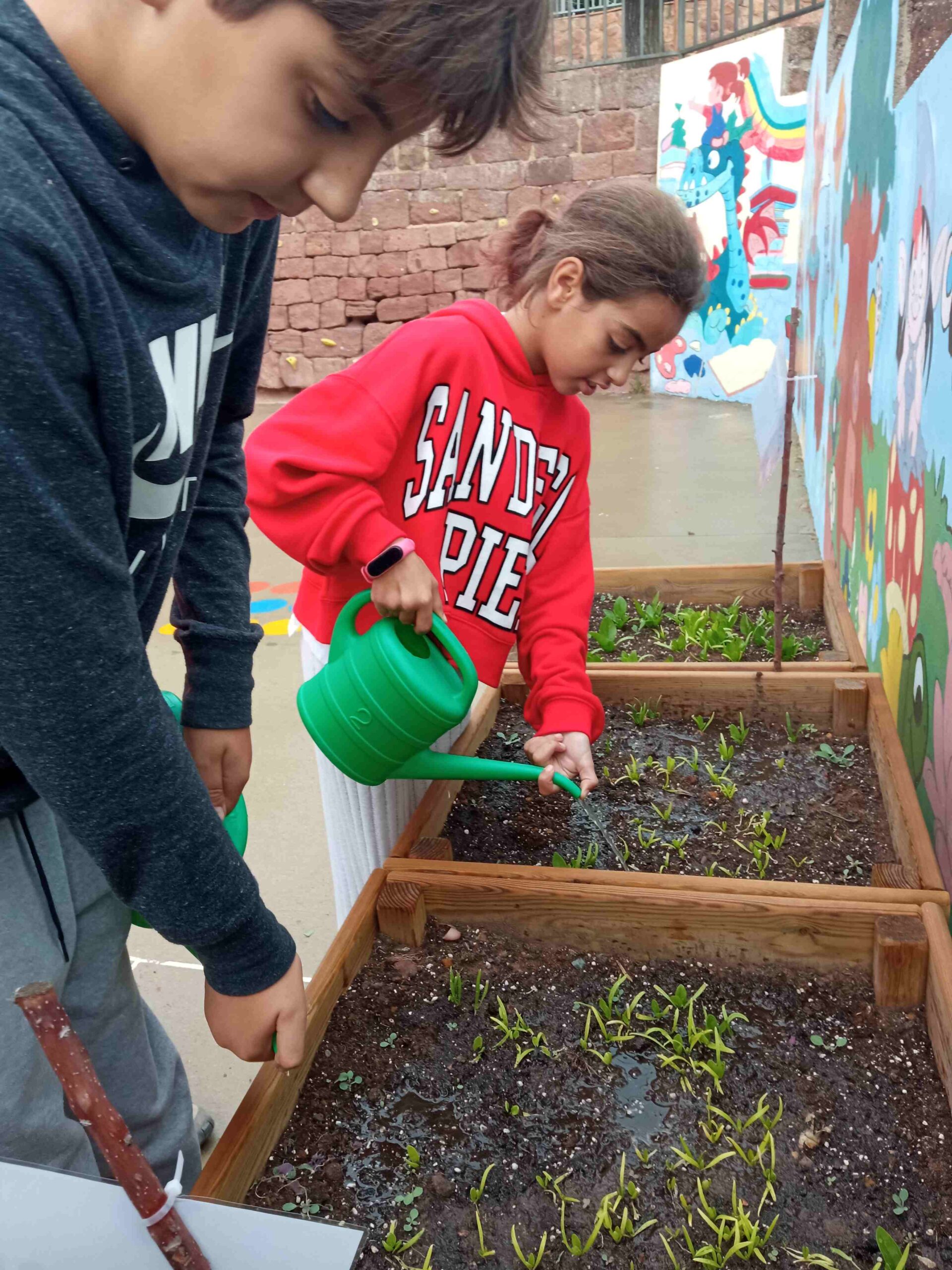 hort broquils cols cs (8)